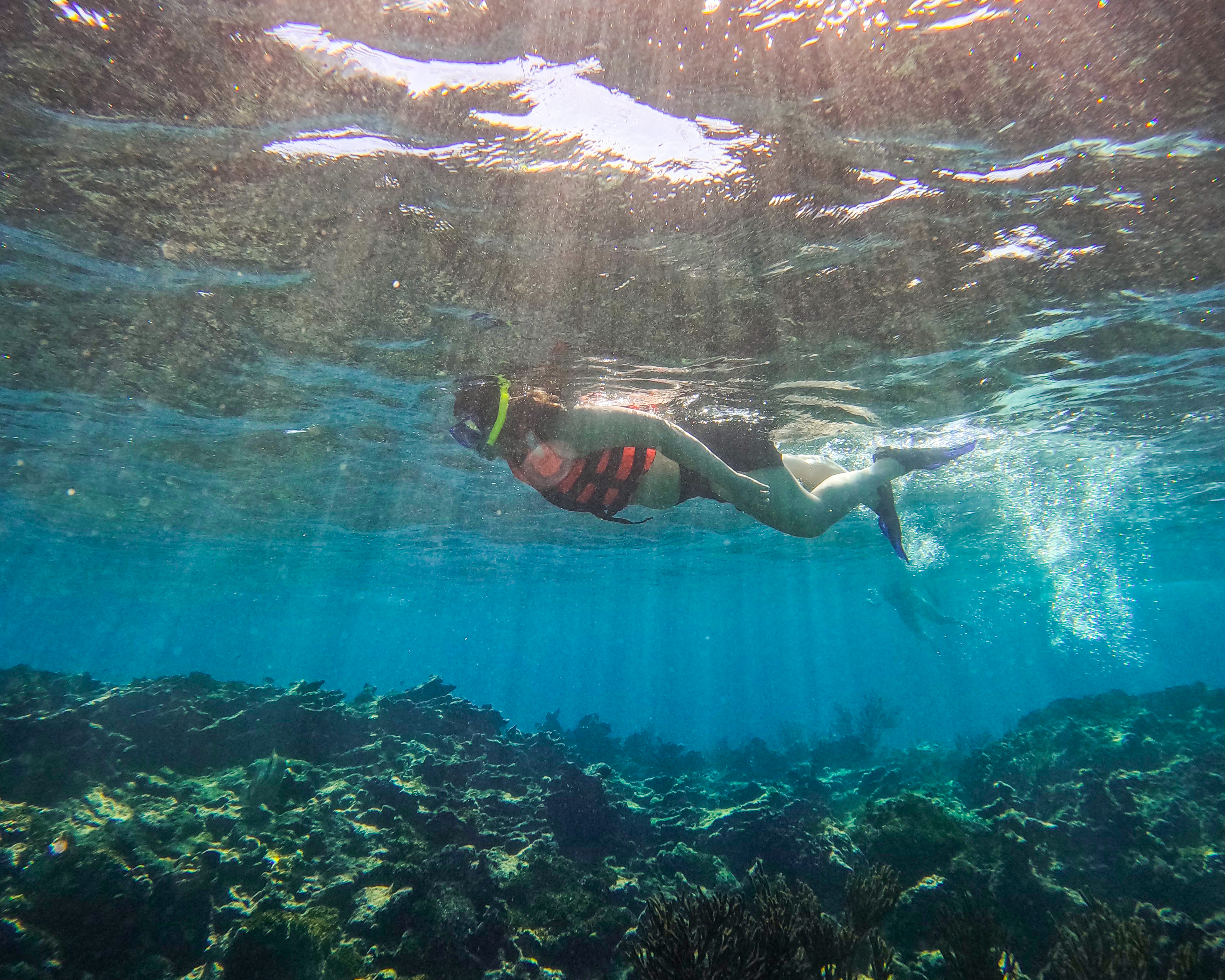 1.5 hours Snorkeling at Tulum's paradise reef — 82/92