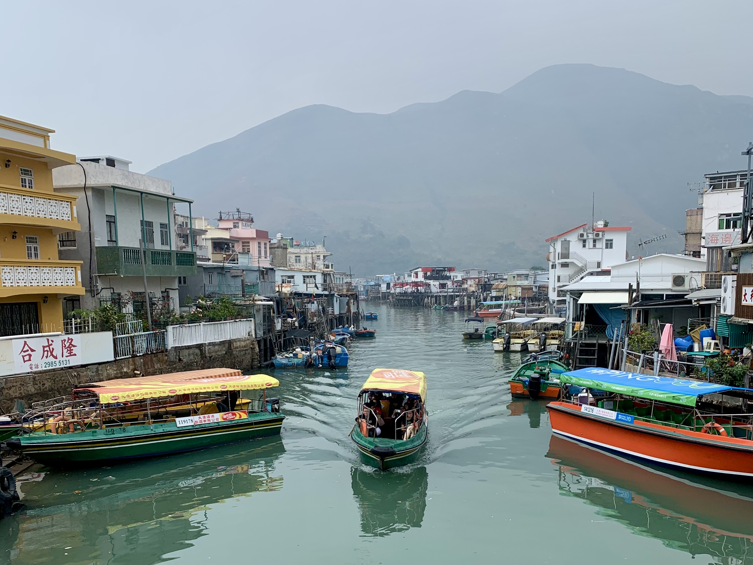 Cruise Layover Tour: Giant Buddha on Lantau Island in Private Service - Accommodations in Hong Kong