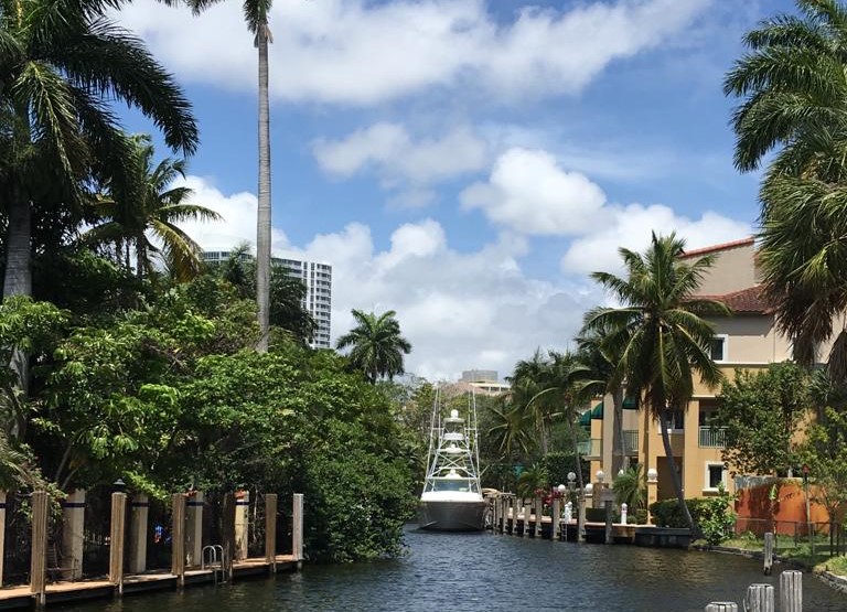 WET & DRY FORT LAUDERDALE  - Photo 4