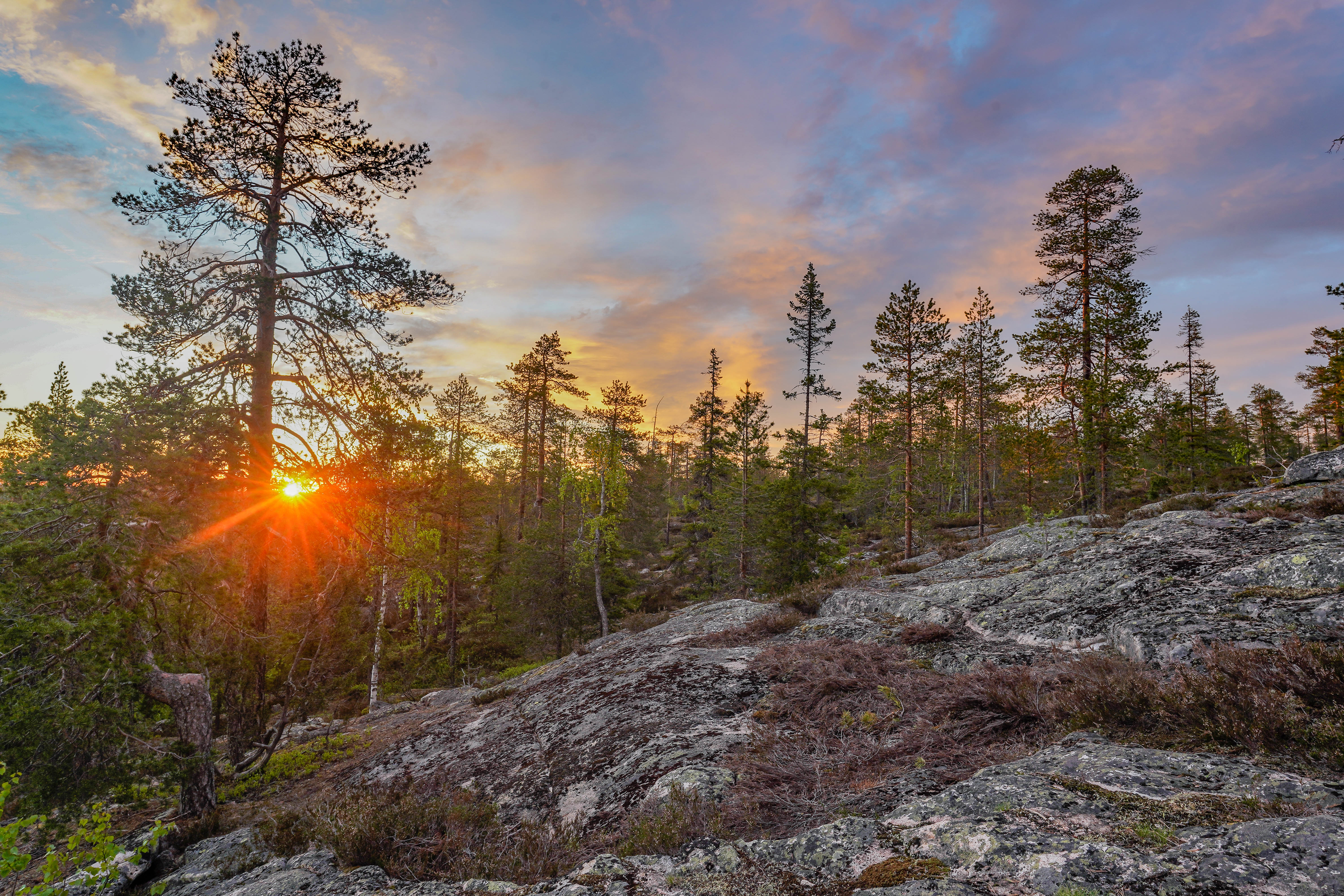 Wilderness Survival Tour - Summer & Autumn – Image 4 | WeShare