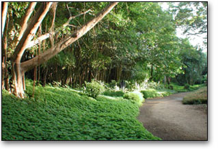 Spiritual Walk Tour Pune - Photo 4