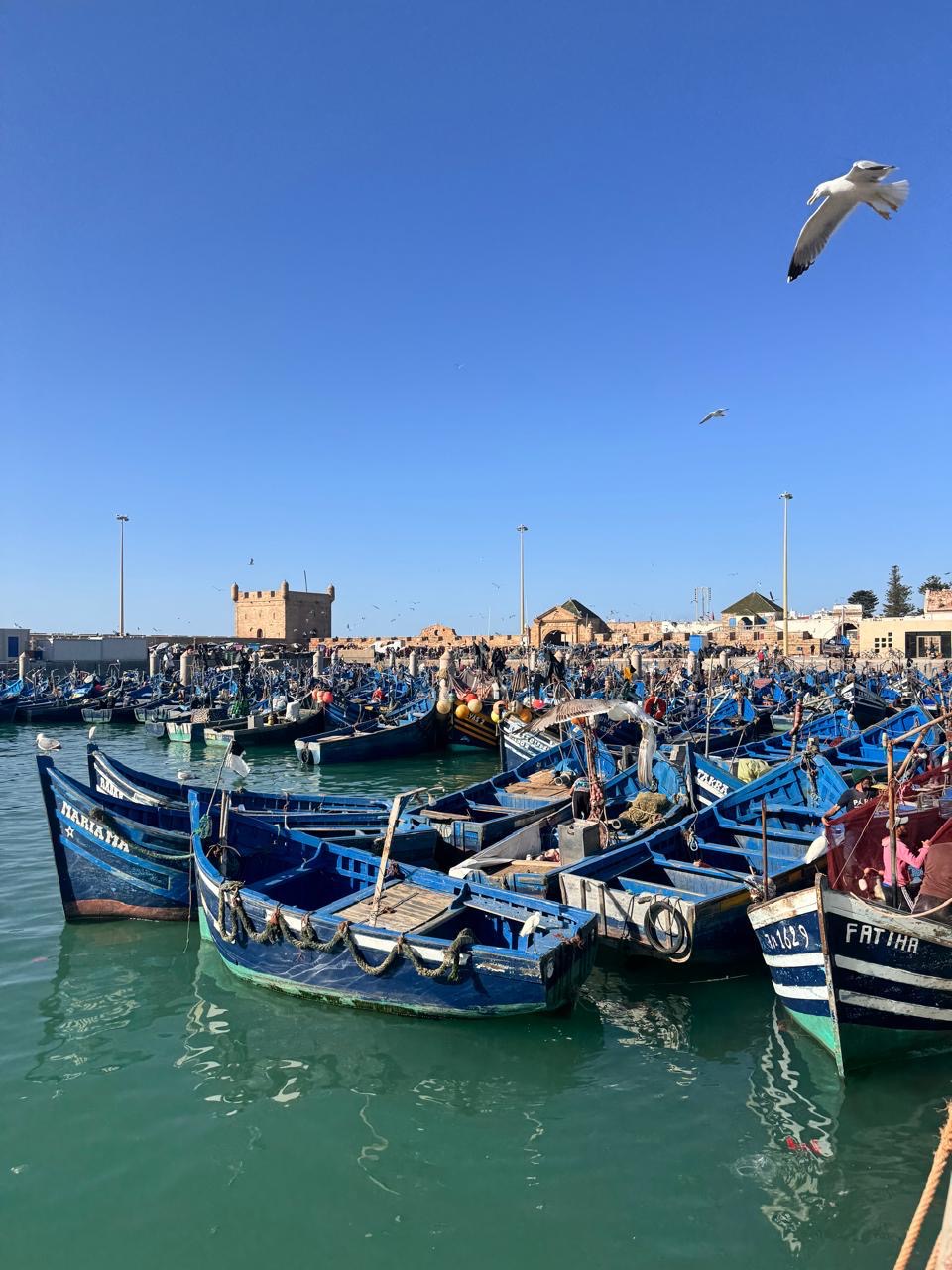 Excursión a Essaouira desde Marrakech
