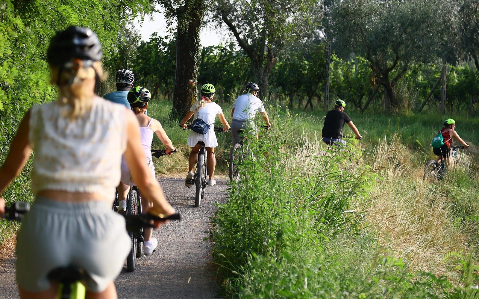 E-Bike tour with Wine tasting from Salò - Photo 7