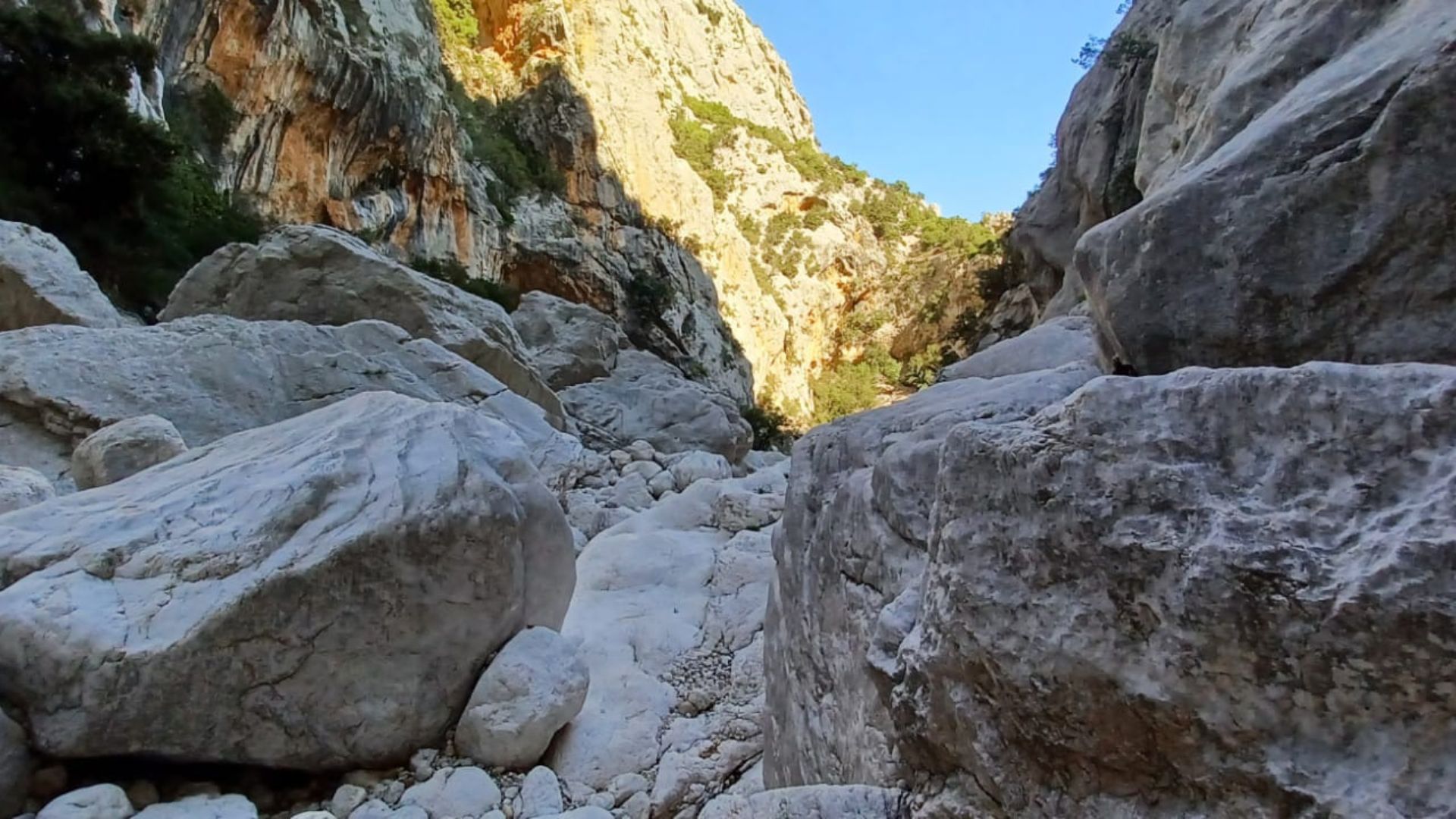 From Urzulei: trekking in the Gorropu canyon - Photo 11