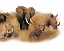 7 Days Cape Town and Stunning Surroundings, for Families and Groups