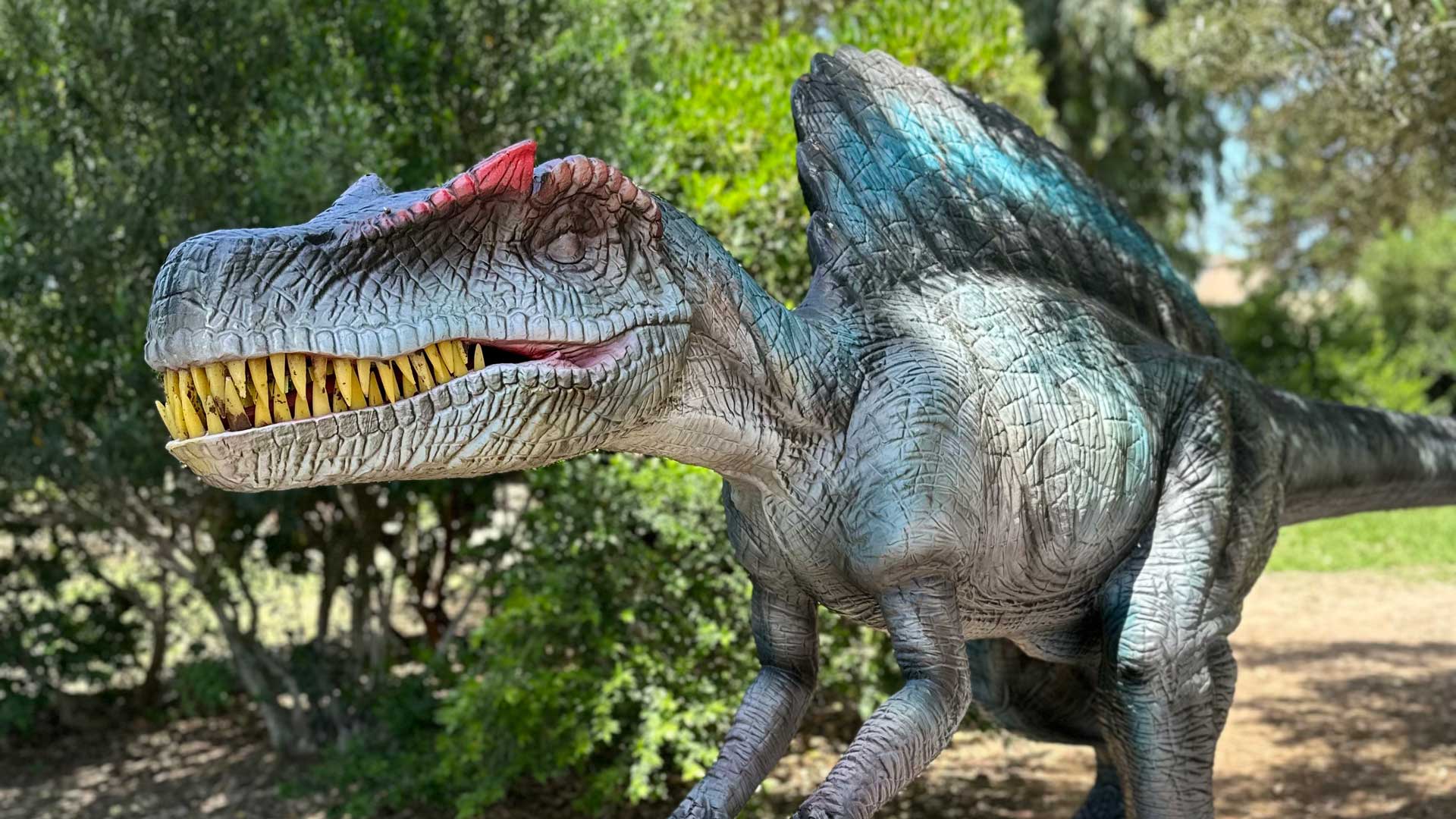 Discover dinosaurs in Porto Conte Park in Alghero - Photo 4