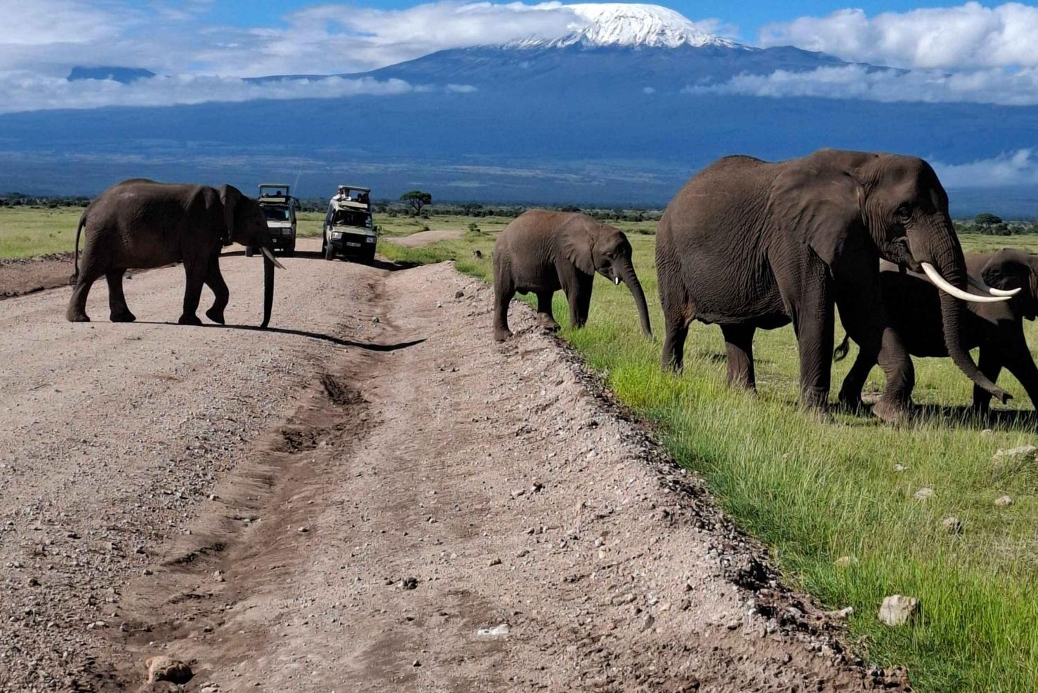 10 Day Kenya Safari Beyond the Ordinary – Big Five, Lakes & Wild Frontiers – photo 6