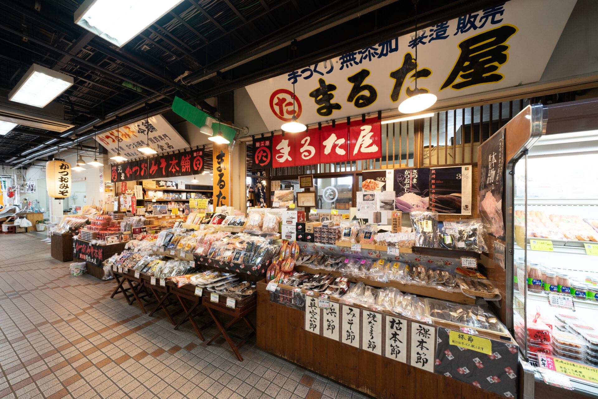 �썑��ʊό�������Ђ̃C���[�W