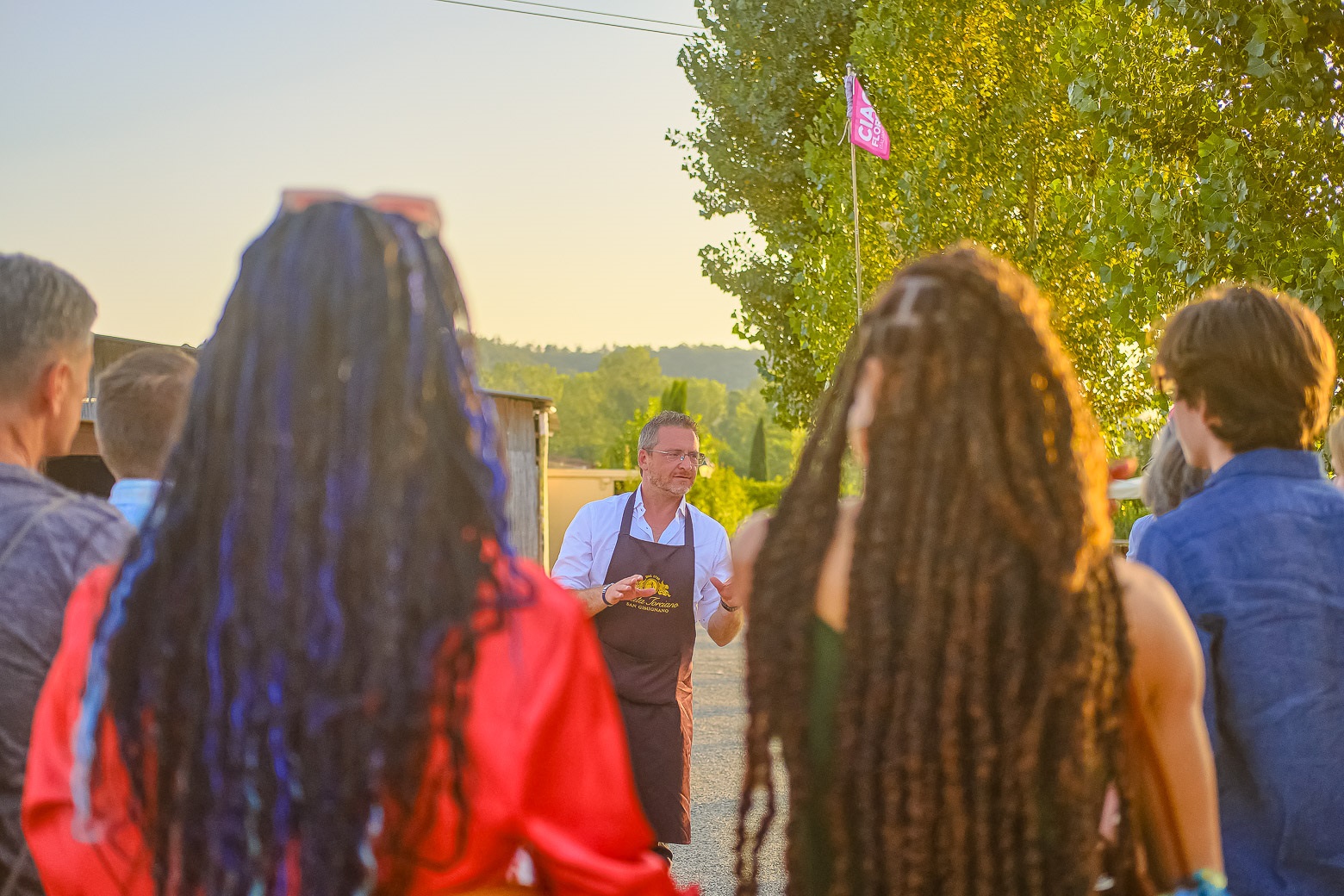 Small-Group Winery Tour with Tasting and Dinner in Chianti - Photo 75