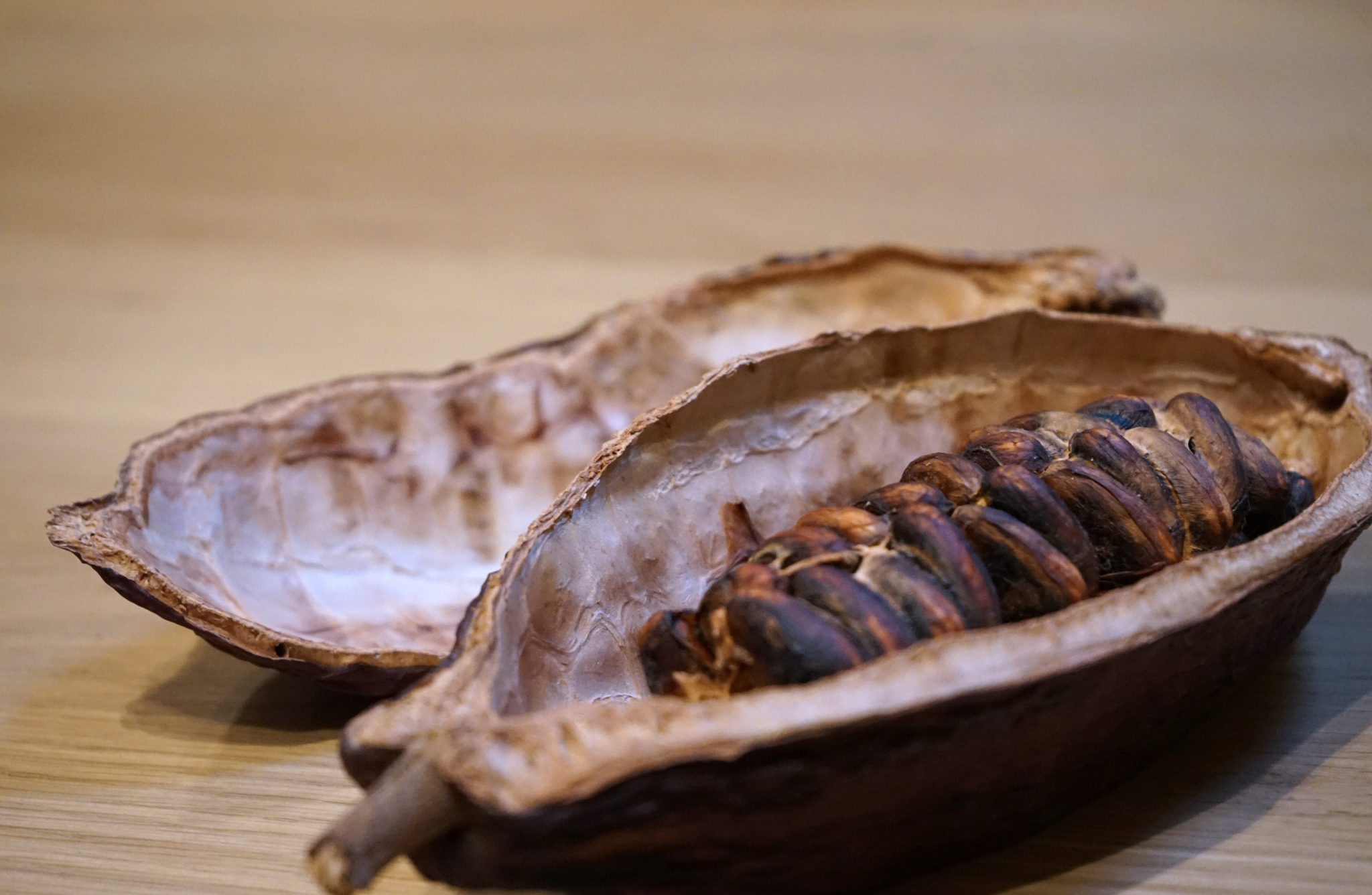The Turin Chocolate & Wine Tasting Experience - Photo 4
