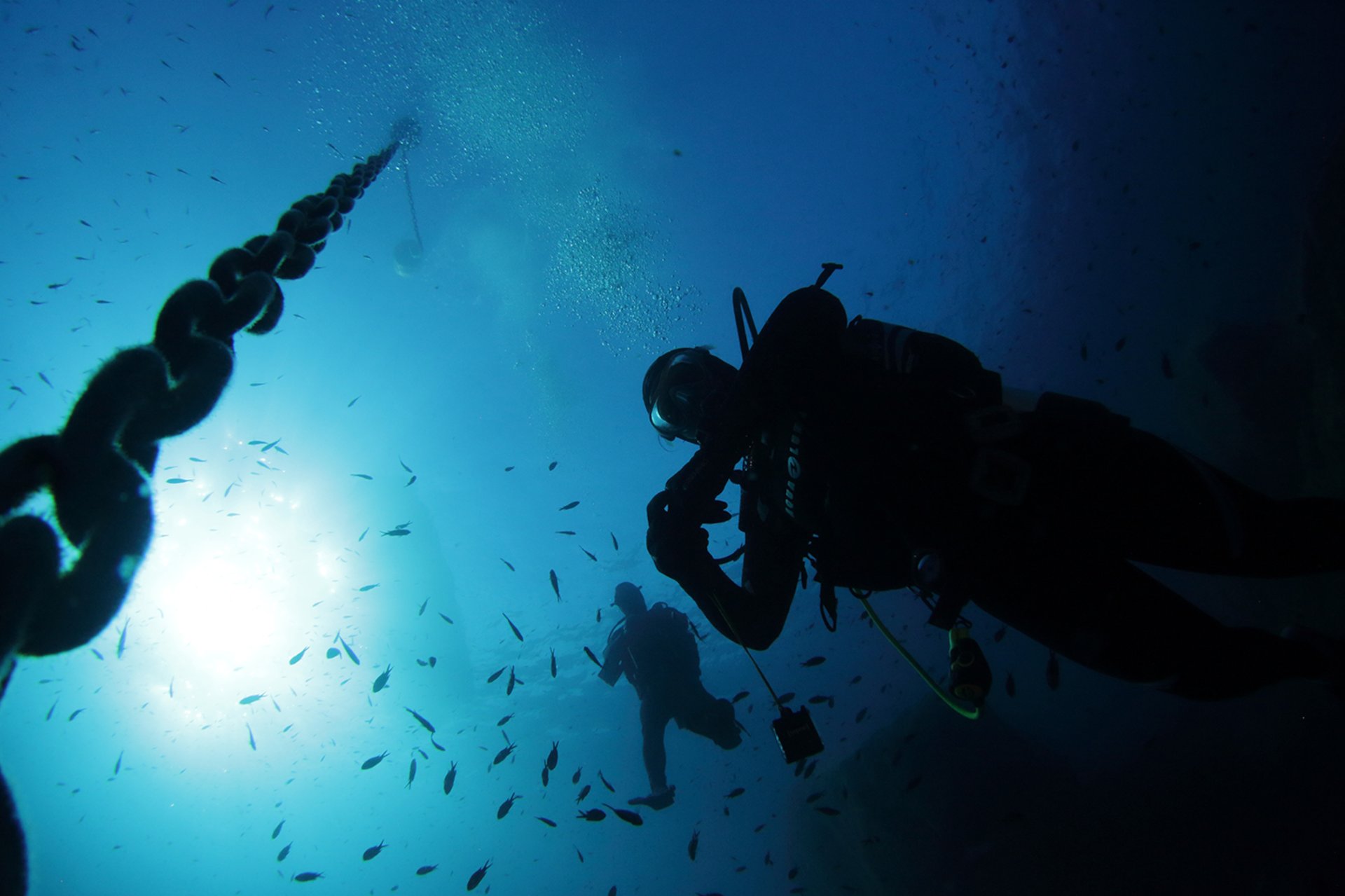 From San Teodoro: diving for professionals in Tavolara and Molara - Photo 3
