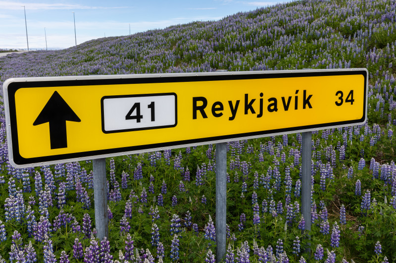 Keflavik Airport (KEF) to Reykjavik: Private Arrival Transfer - photo 2