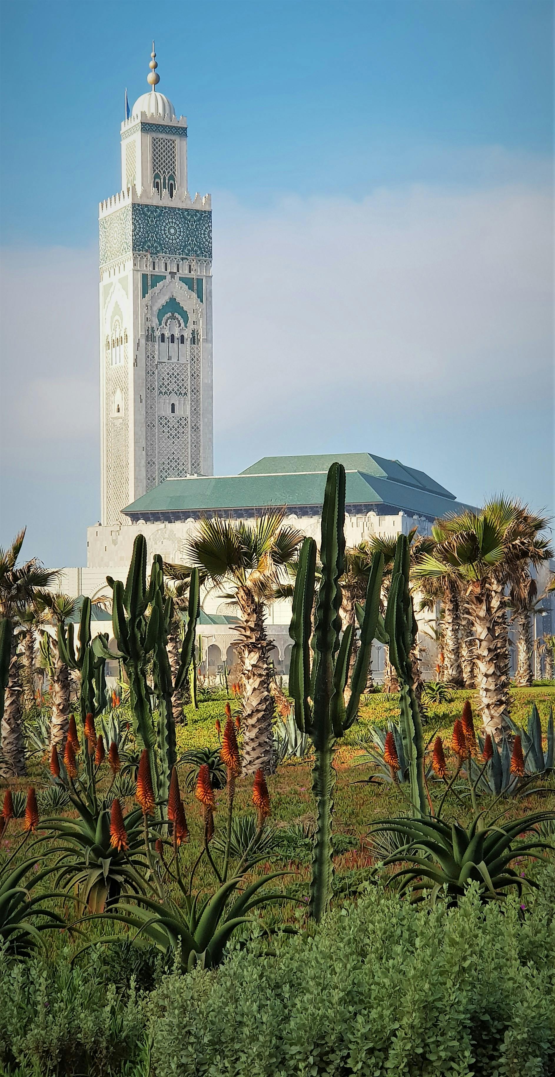 Excursión a Casablanca desde Marrakech