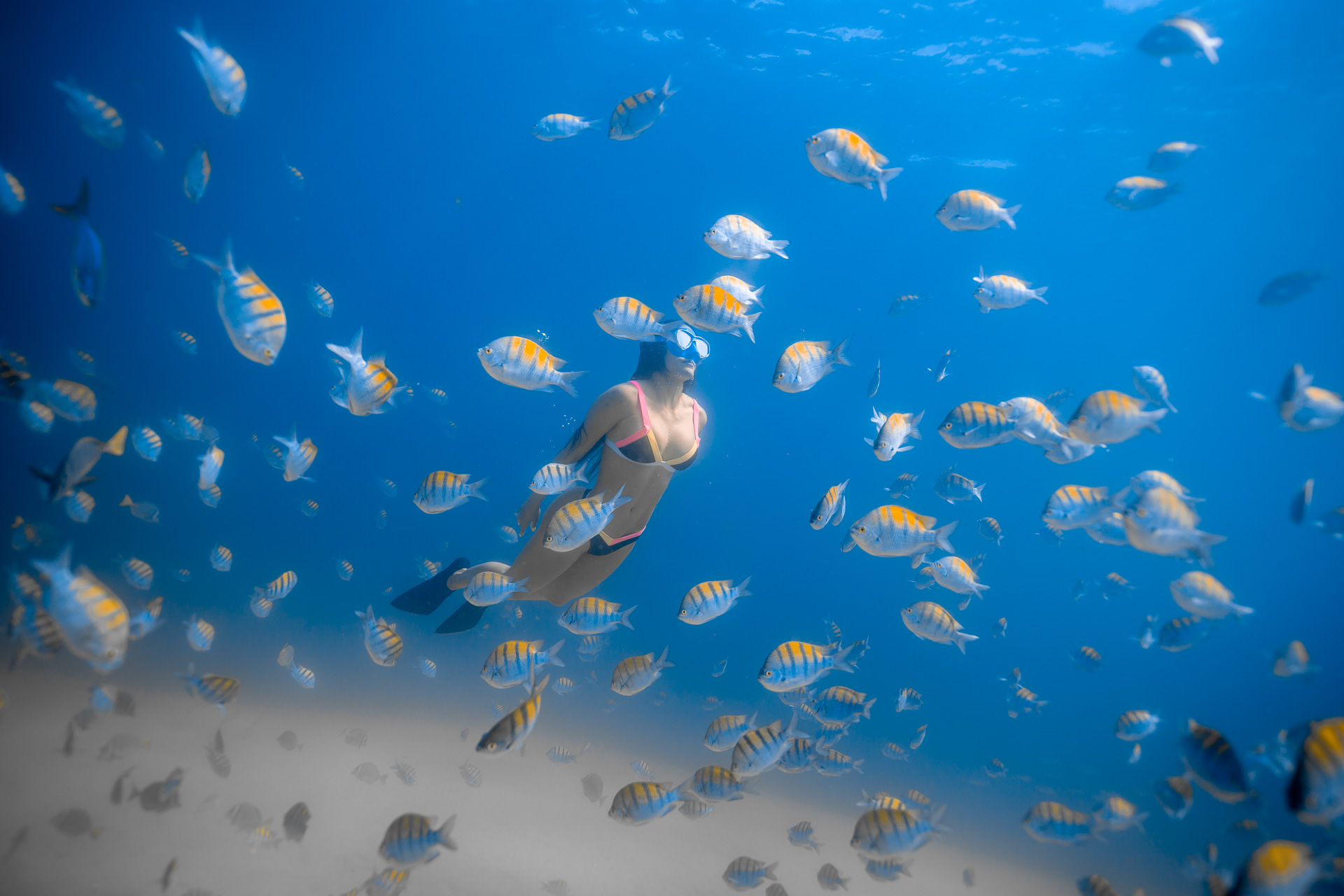 Snorkeling in Los Cabos with Pickup - Accommodations in Cabo San Lucas