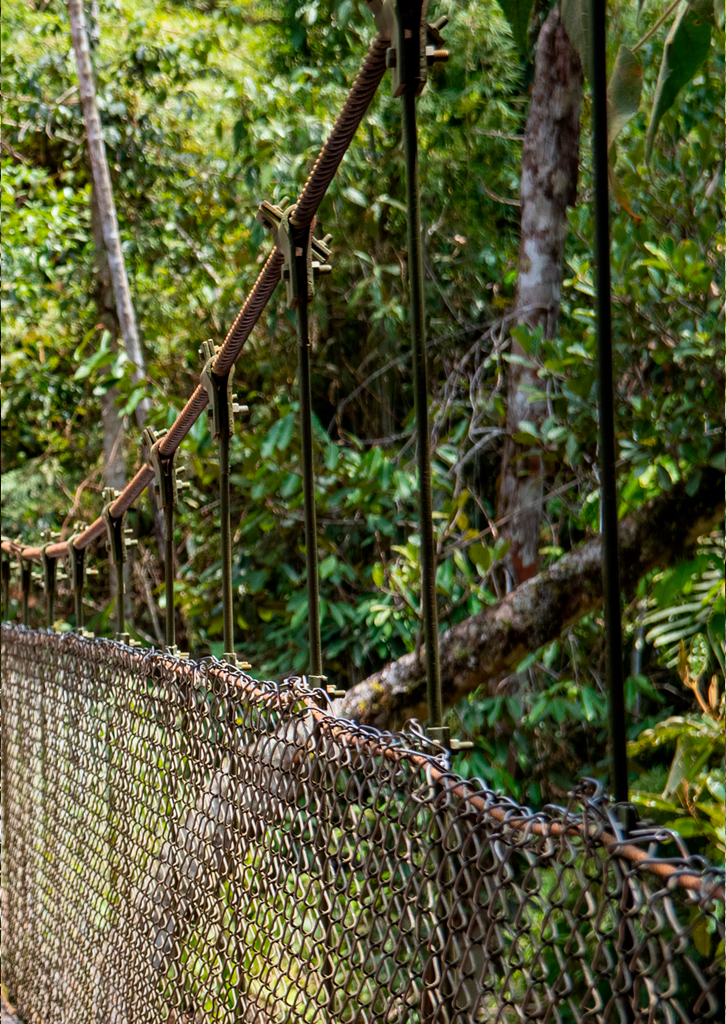 Oxa-02: Expedición Villa Rica - Cultura del Café y Descubrimiento de la Selva Tropical - Foto 5
