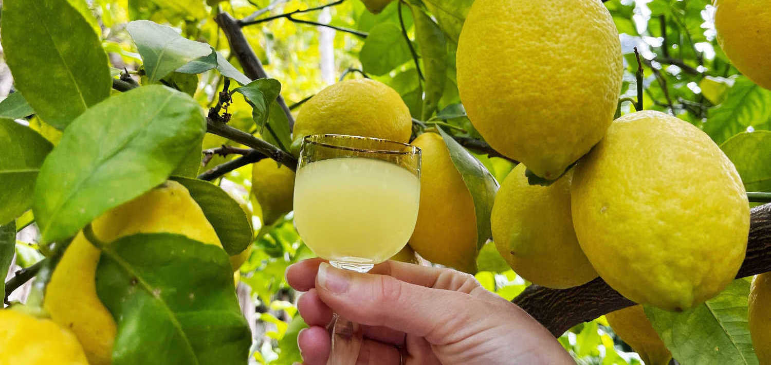 Tour of Pompeii and Sorrento from Naples with private Transfer