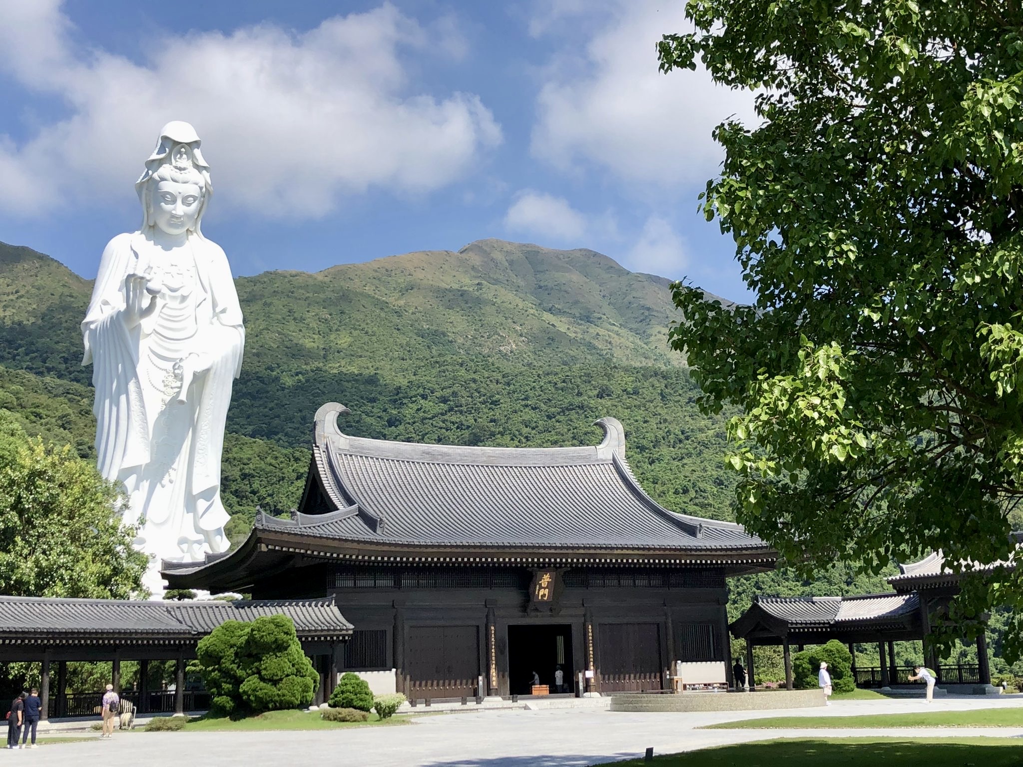 Guided Tour of the New Territories with Tsz Shan Monastery in Private Service - Accommodations in Hong Kong