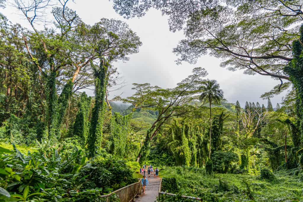 Oahu City Pass ( Per day) - Photo 10