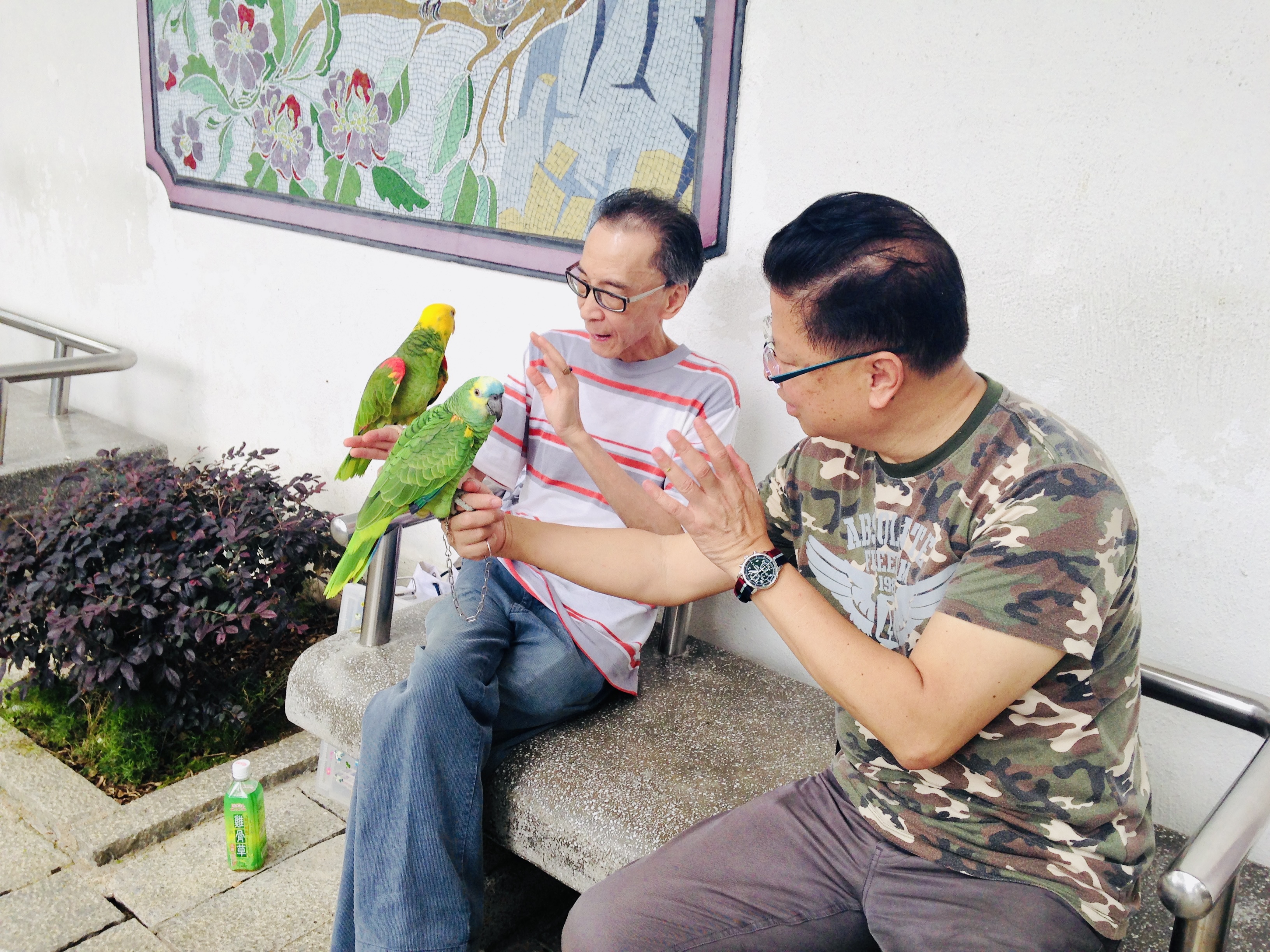 Kowloon Guided Tour in Private Service - Accommodations in Hong Kong