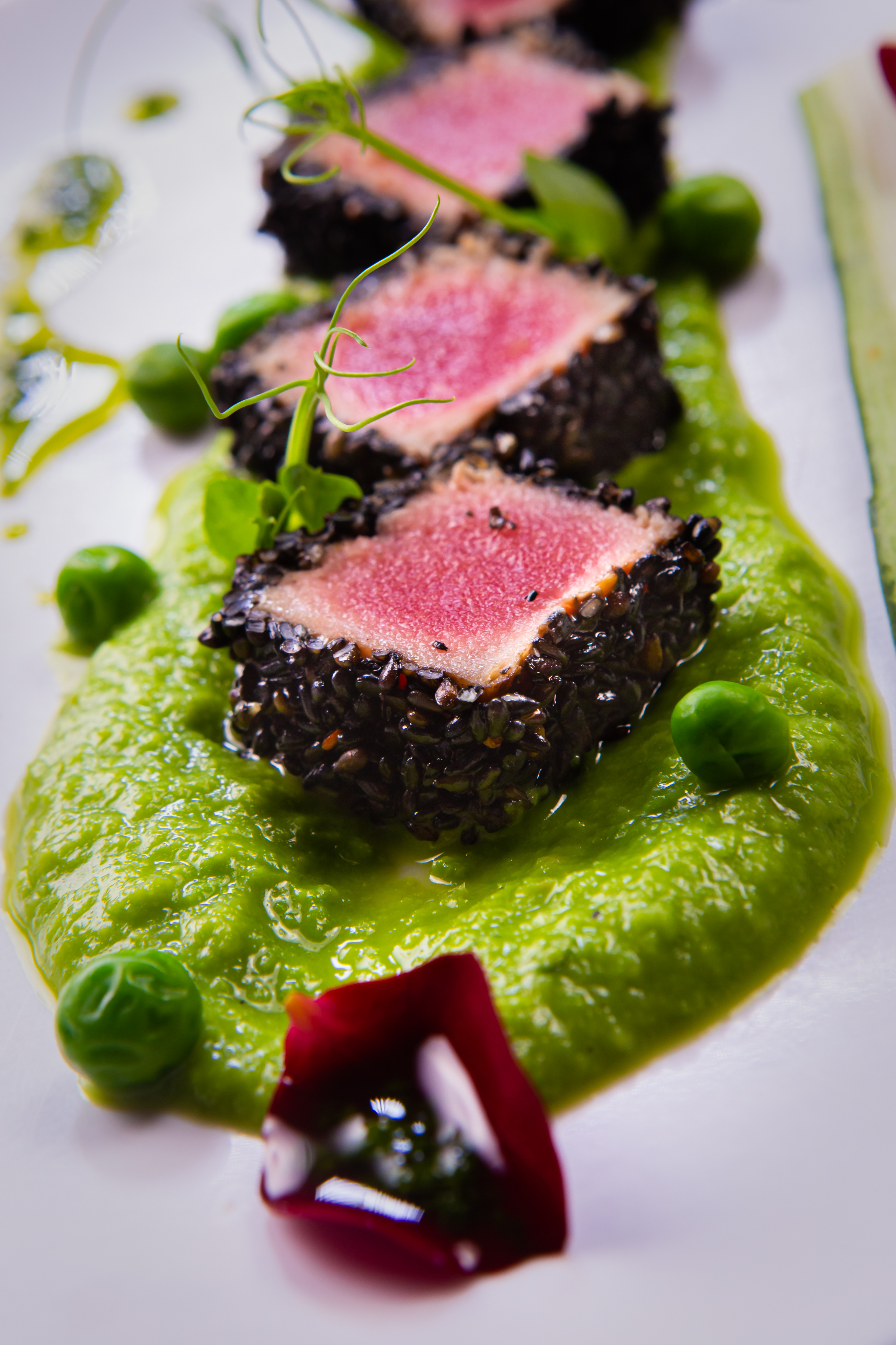 Her Şey Dahil Cancún: Dalış & Yat 51¨Leopard Ofis 10 saat