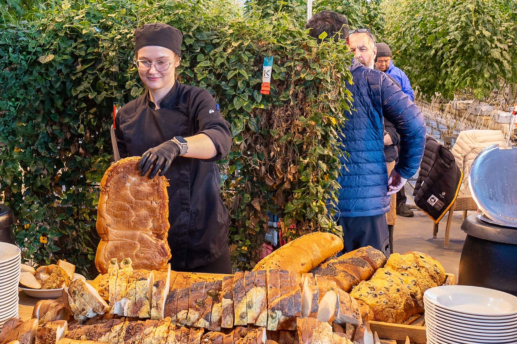 Golden Circle, Friðheimar Tomato Farm & Laugarás Lagoon - photo 4