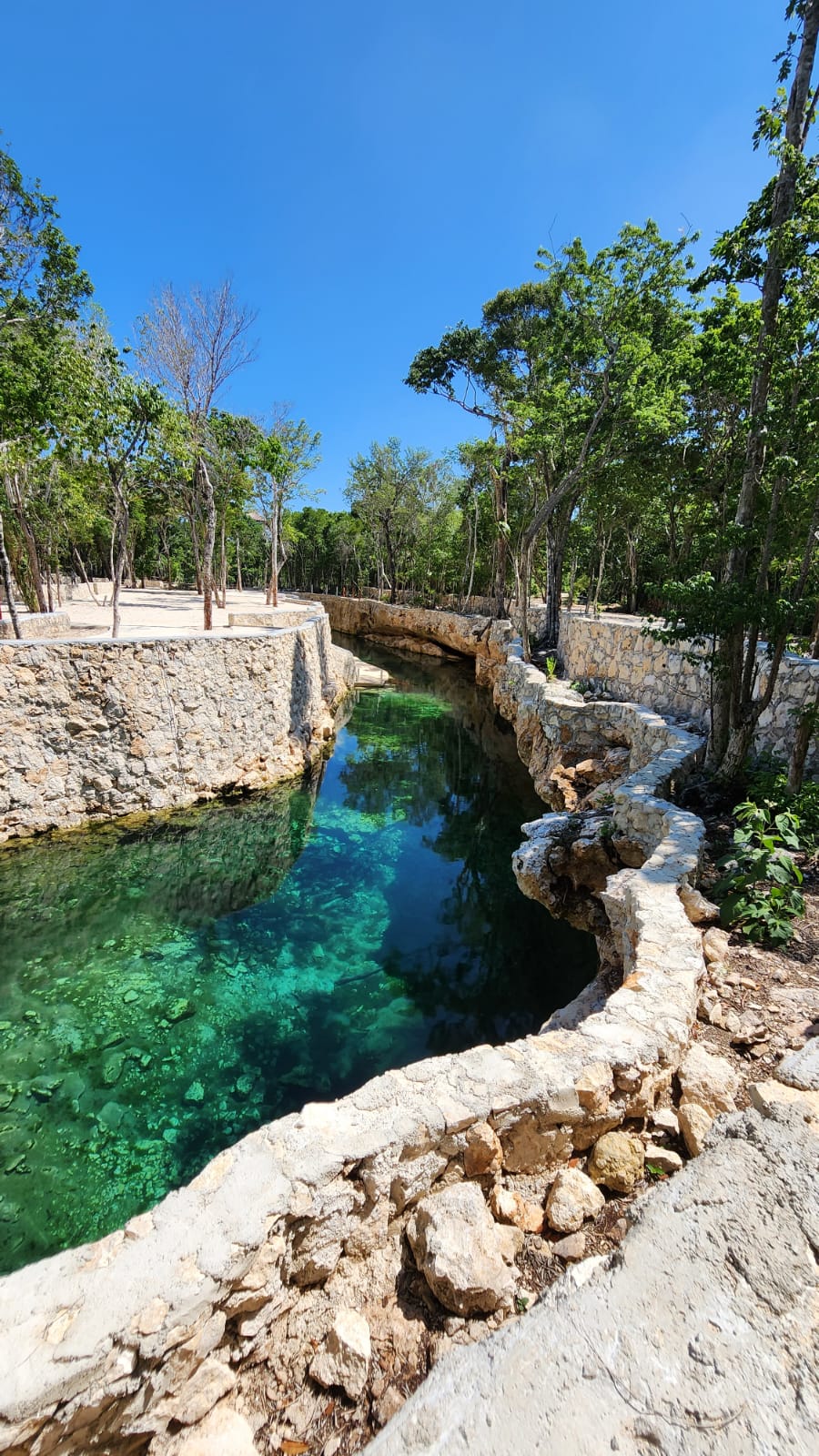 Casa Tortuga Silver – Experiencia en Cenotes — 6/13