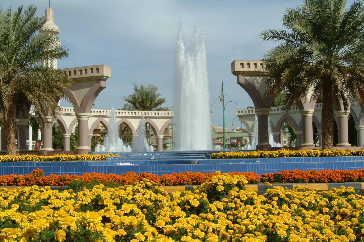 Al Ain Tour with Lunch from Dubai