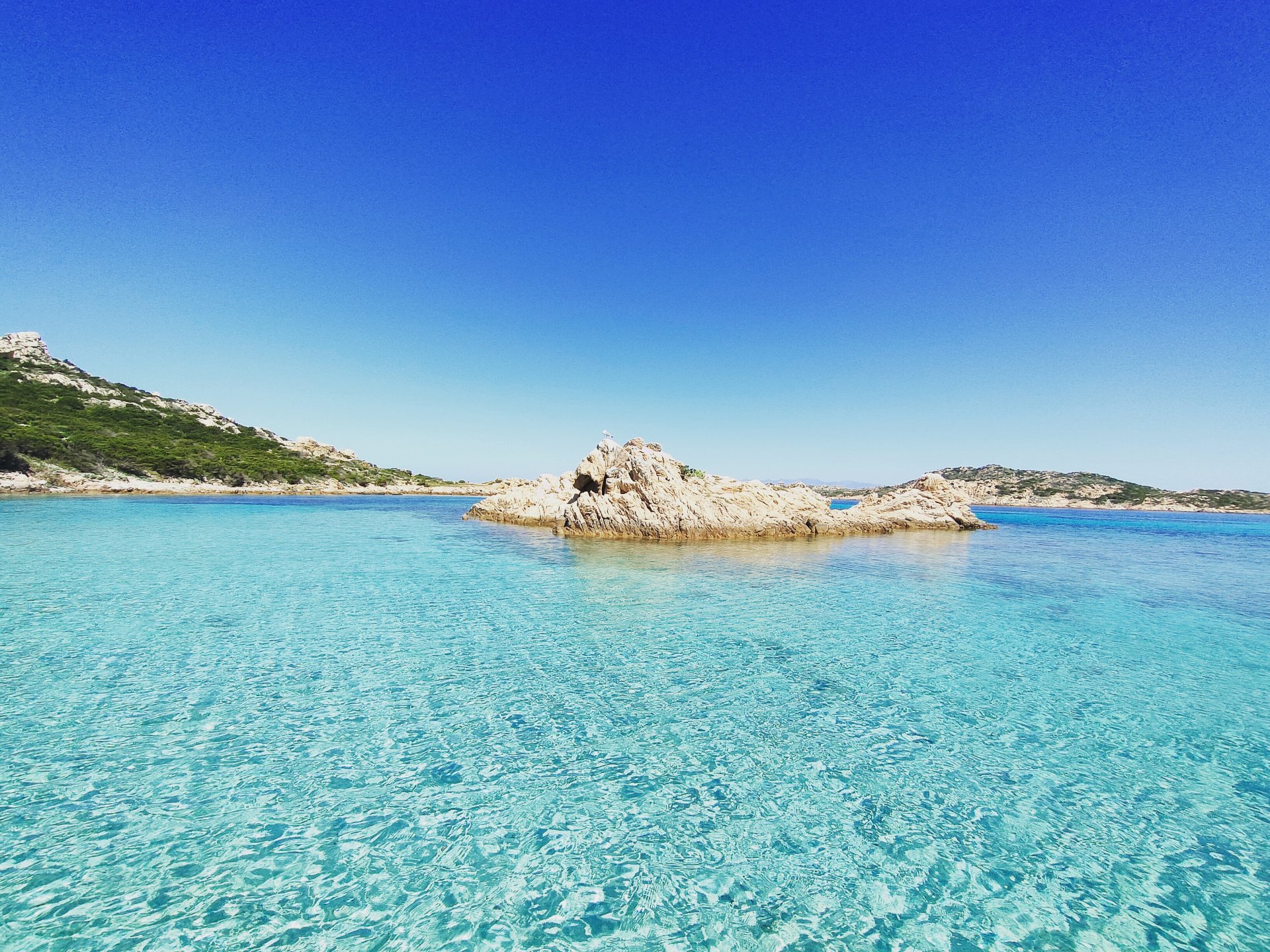 From Palau: private boat trip to the Archipelago of La Maddalena - Photo 12