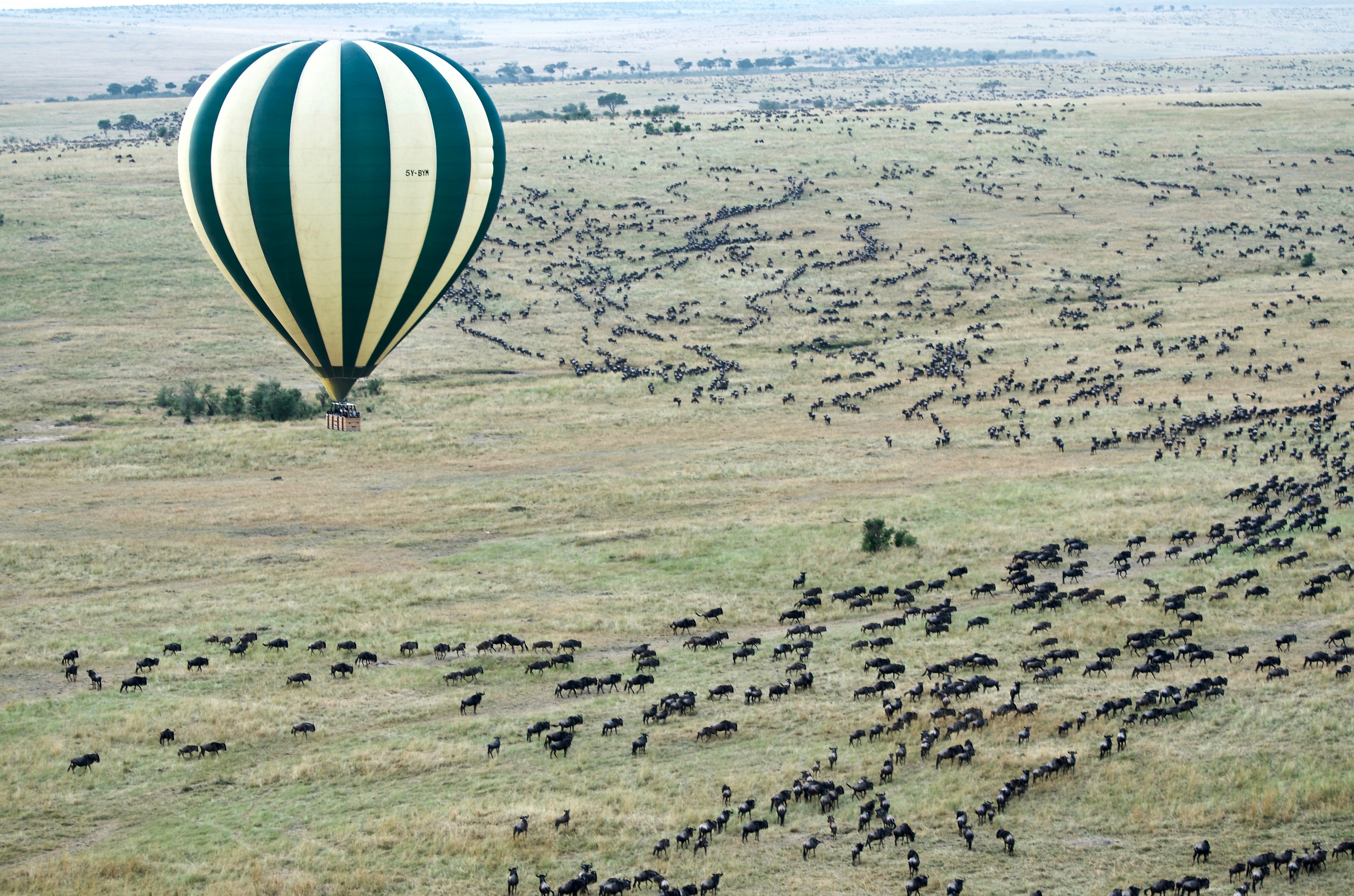 Experiencia exclusiva de vuelo en globo aerostático Safari