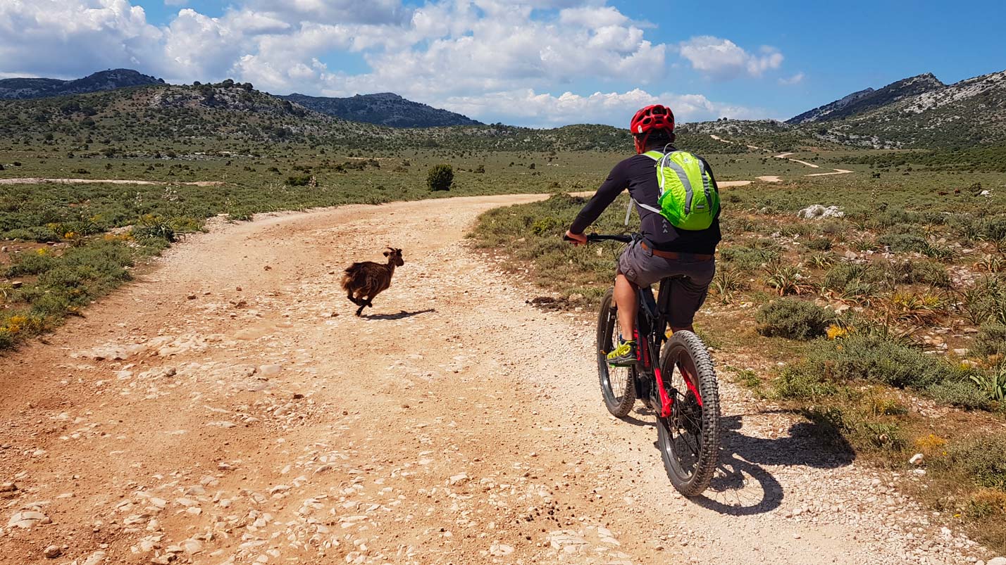Urzulei: ebike tour in Supramonte with aperitif - Photo 2