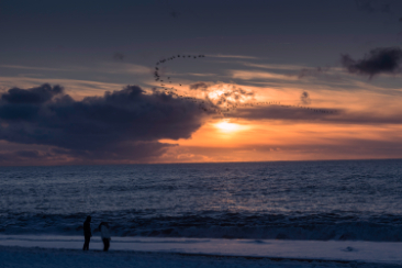 Private Minivan South Coast and Glacier Hike Tour, a full day of adventure - photo 22