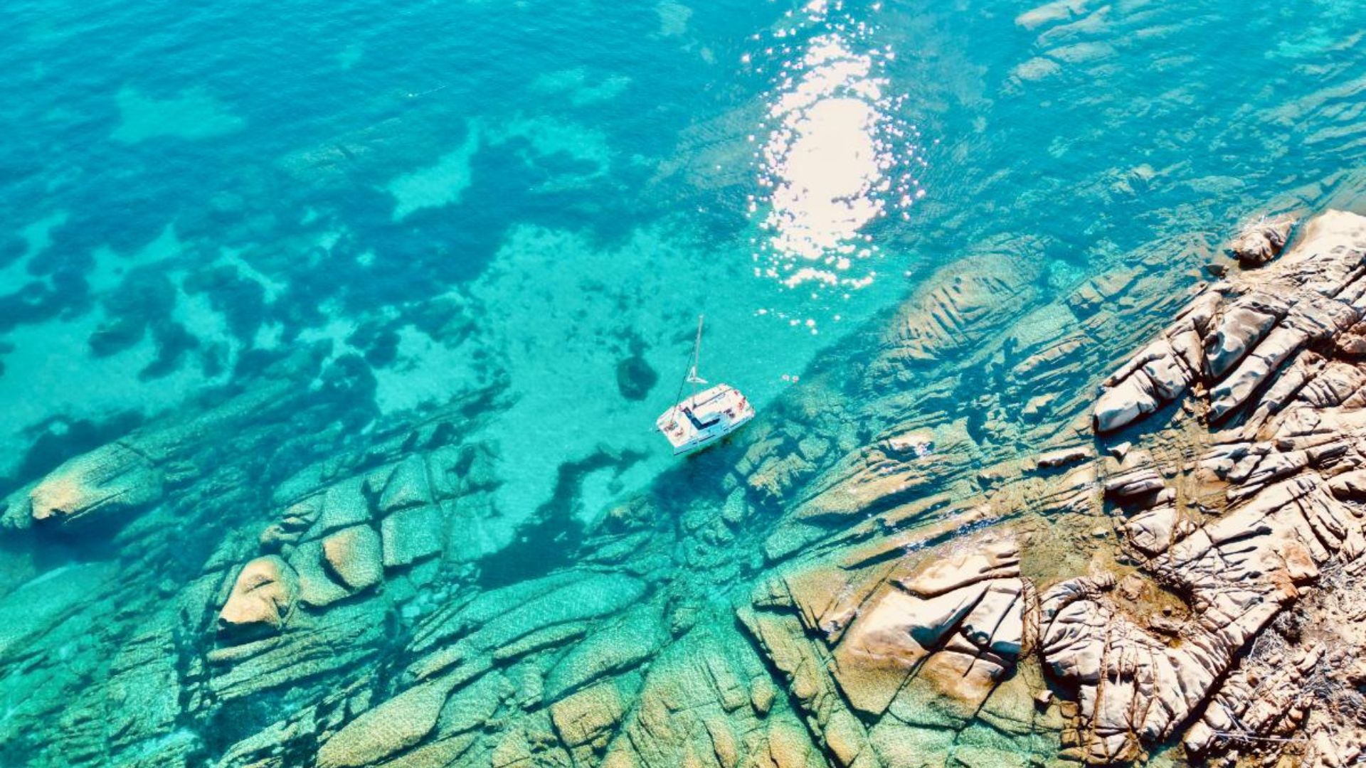 From Stintino: catamaran tour in the Gulf of Asinara - Photo 7