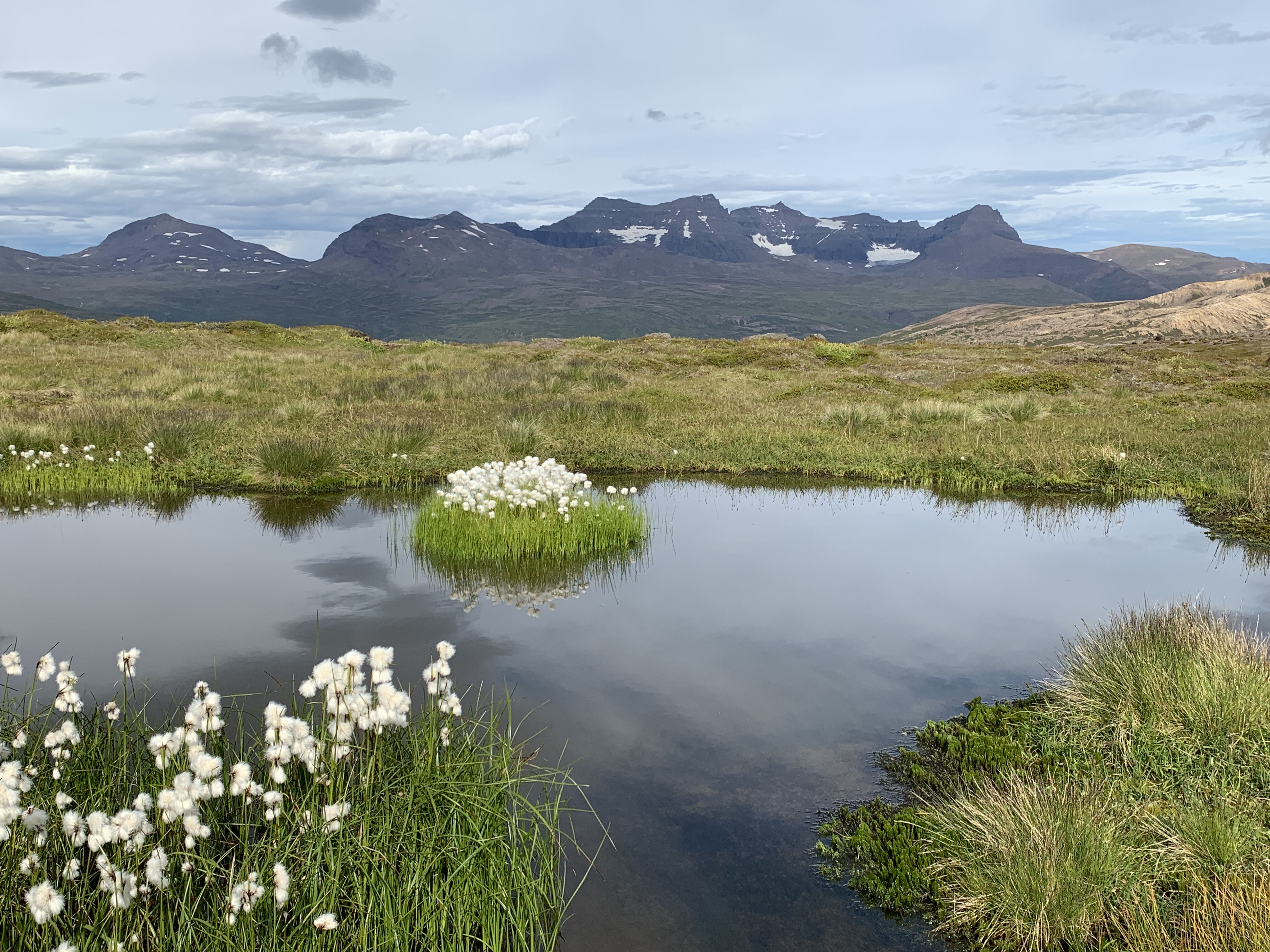 Private Super Jeep with driver guide, fits 10 passengers - photo 4