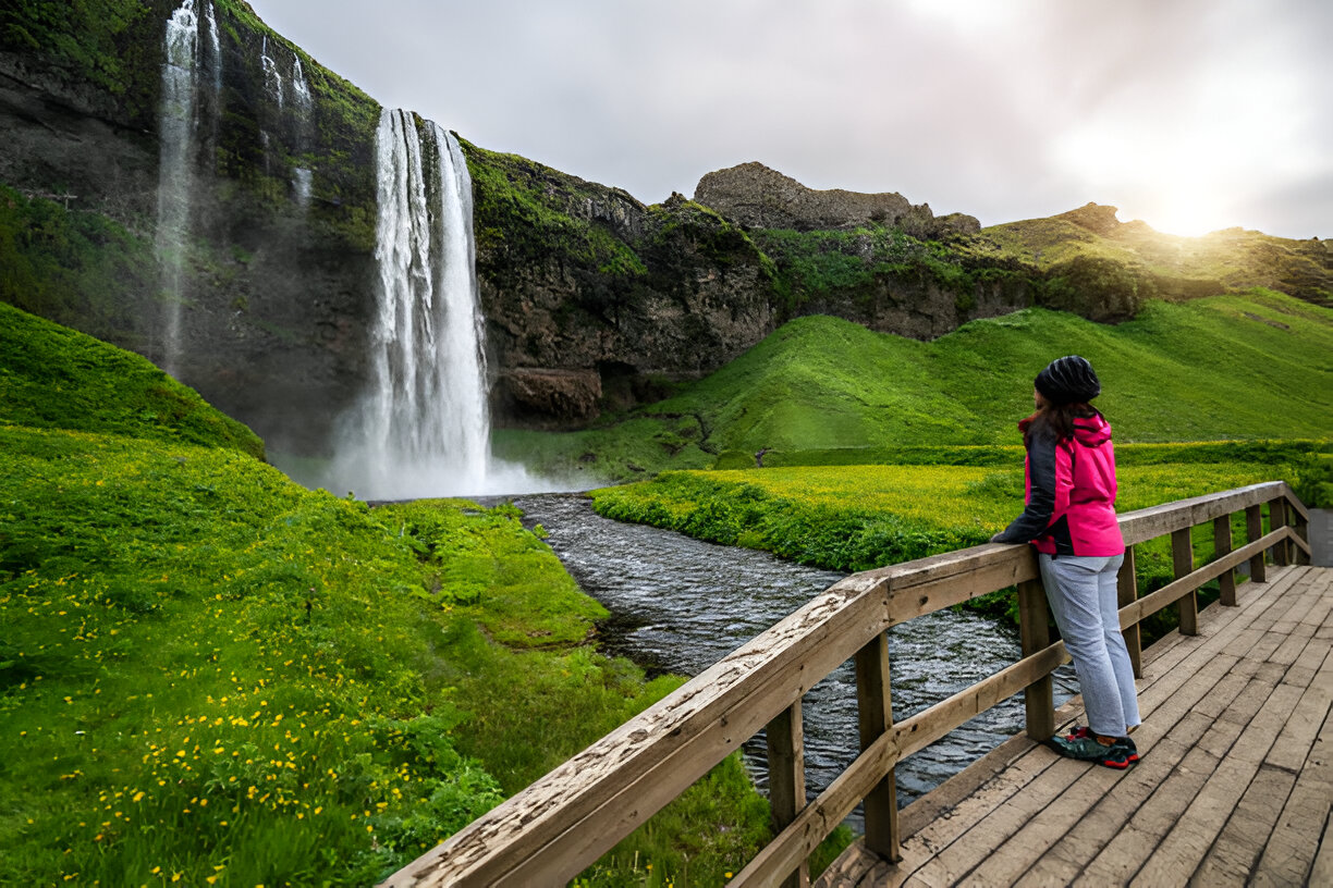 Excursión a la Costa Sur en Privado con Recogida - Alojamientos en Reikiavik