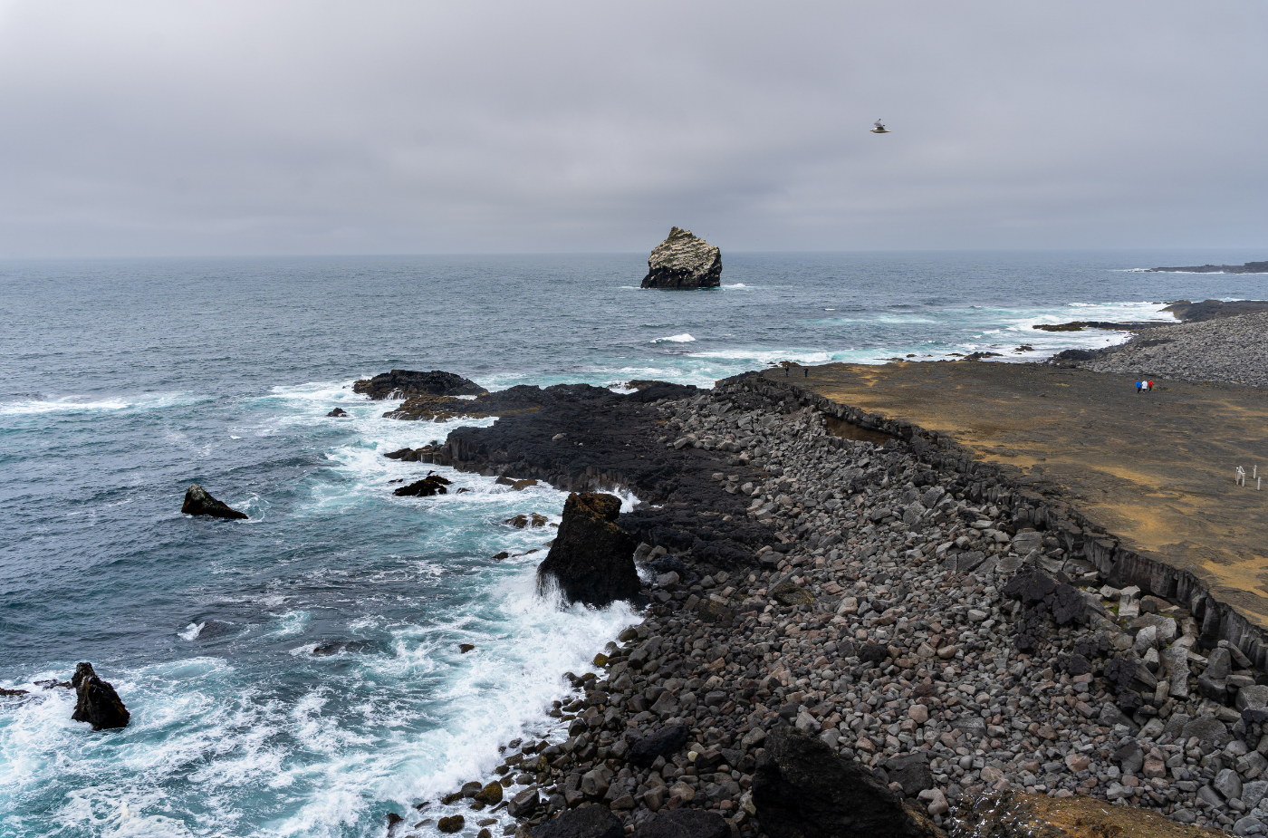 Private Tour with Airport or Hotel Transfers: Explore the Reykjanes Peninsula UNESCO Global Geopark - Eric - photo 11