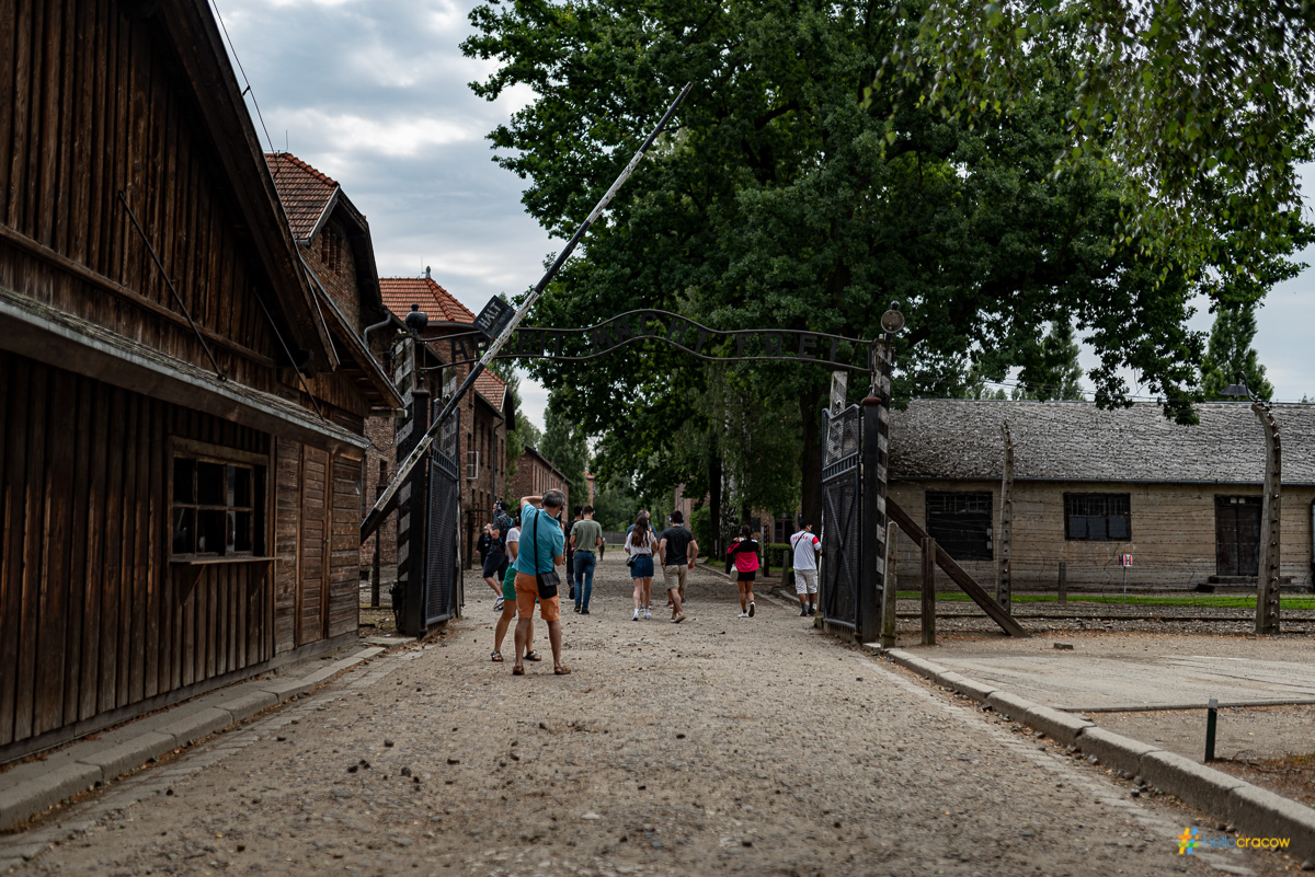Auschwitz-Birkenau & Wieliczka Salt Mine – One-Day Trip Full of History 
