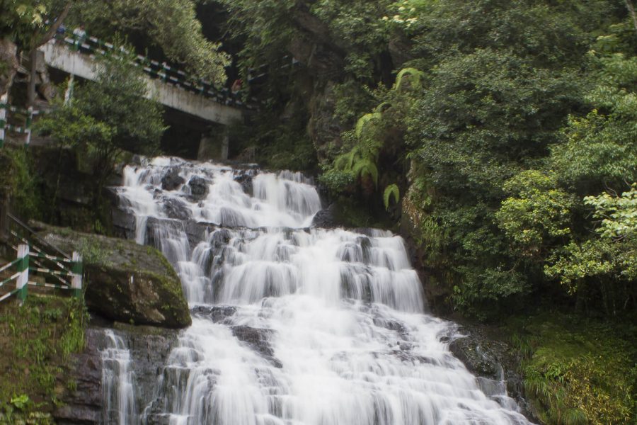 Lo mejor de Assam y Meghalaya: tour de 5 días por Guwahati y Shillong