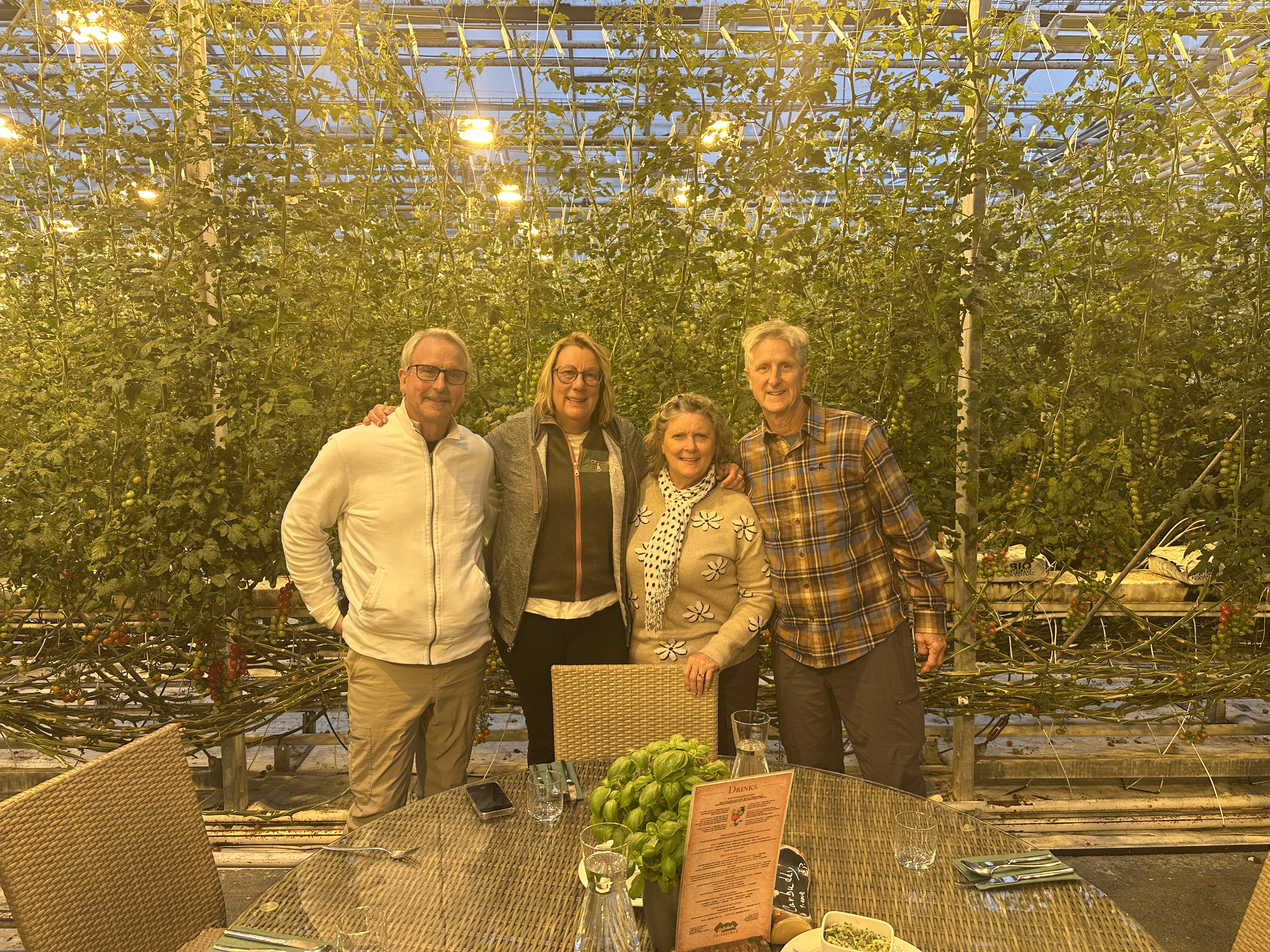 Golden Circle Private Tour & Fridheimar Farm Visit from Reykjavik - photo 4