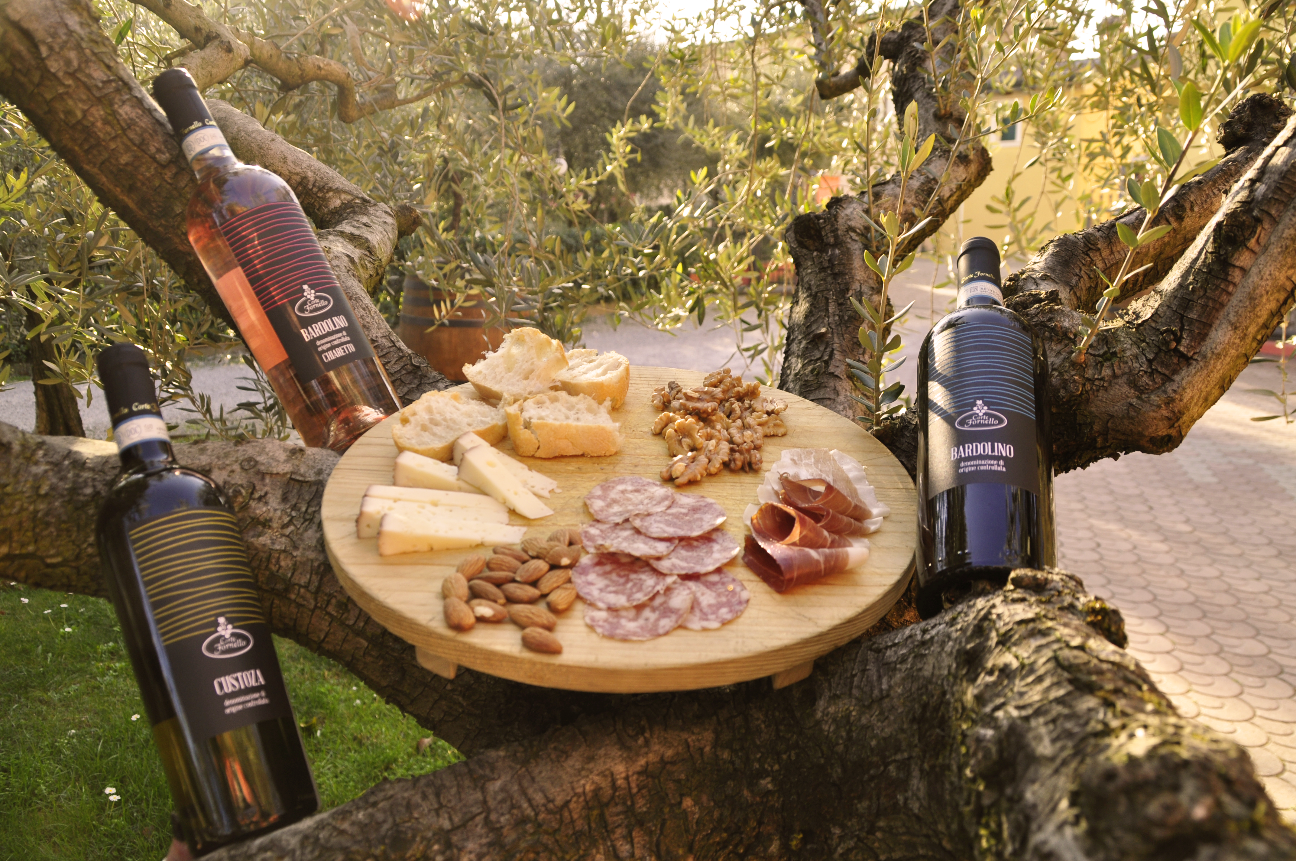 Tour and tasting of local young Wines in Valeggio - Photo 7