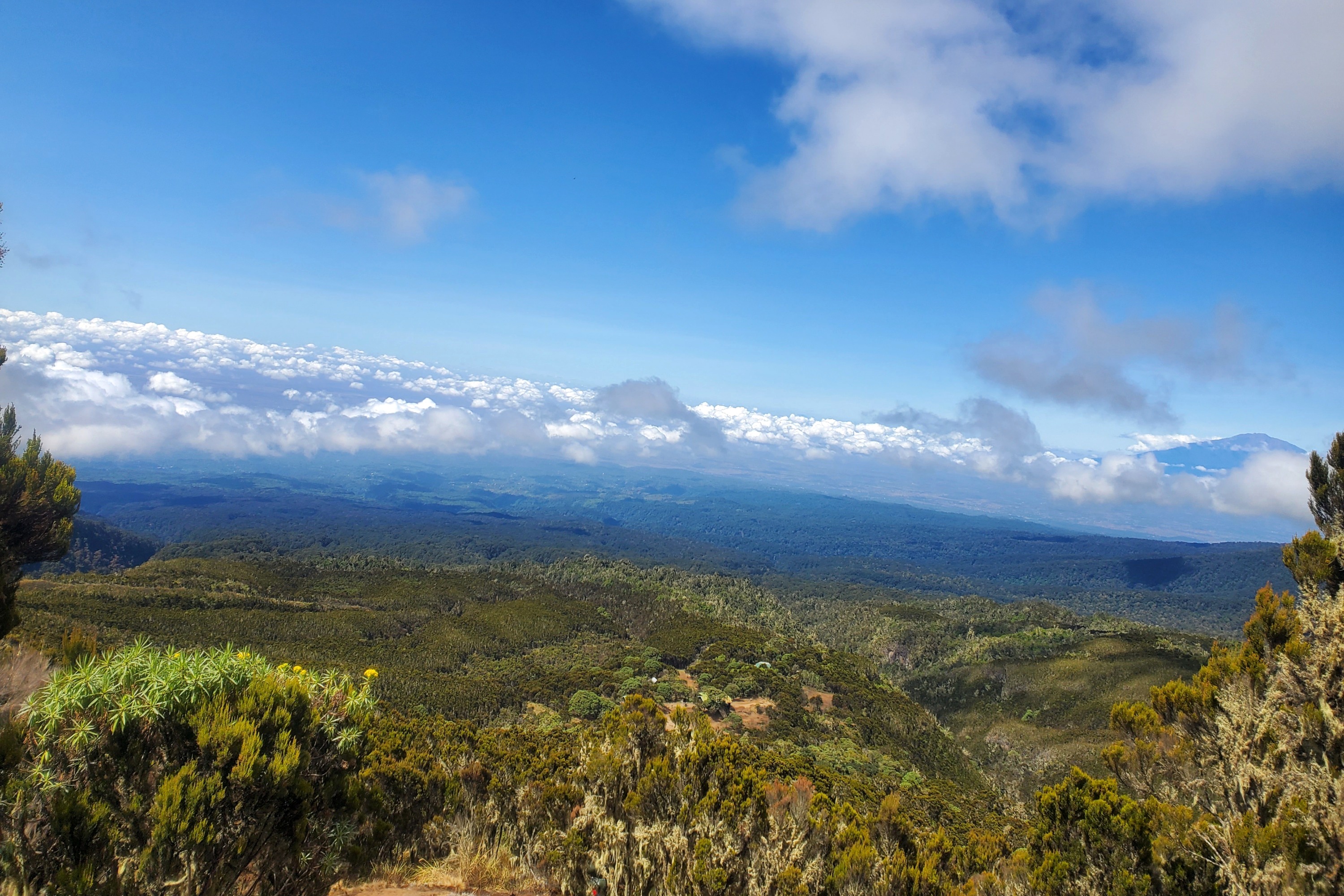 Desafío de 6 días al Monte Kilimanjaro: escalada experta en la empinada ruta Umbwe - Foto 4