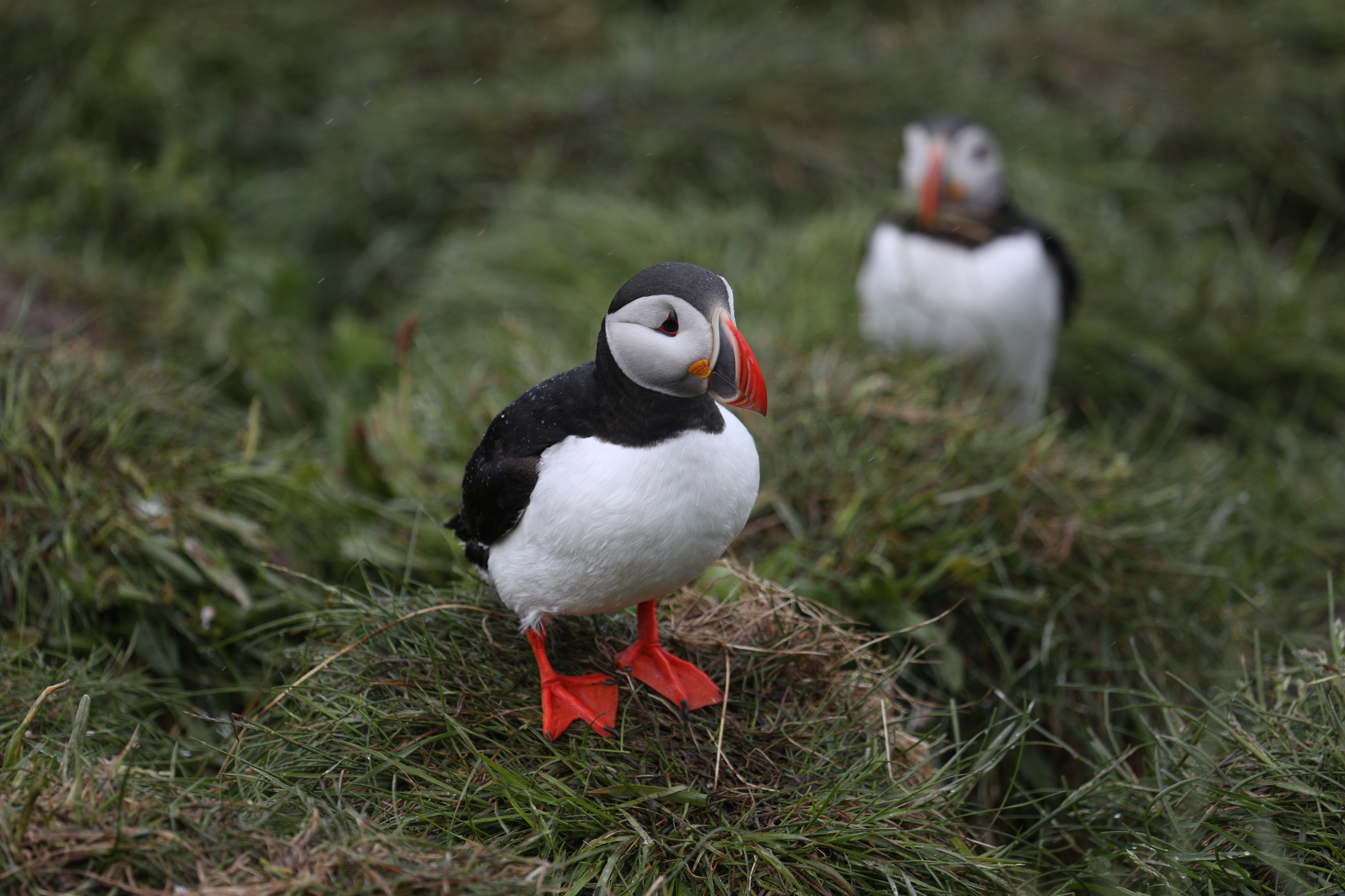 Private Super Jeep with driver guide, fits 10 passengers - photo 14