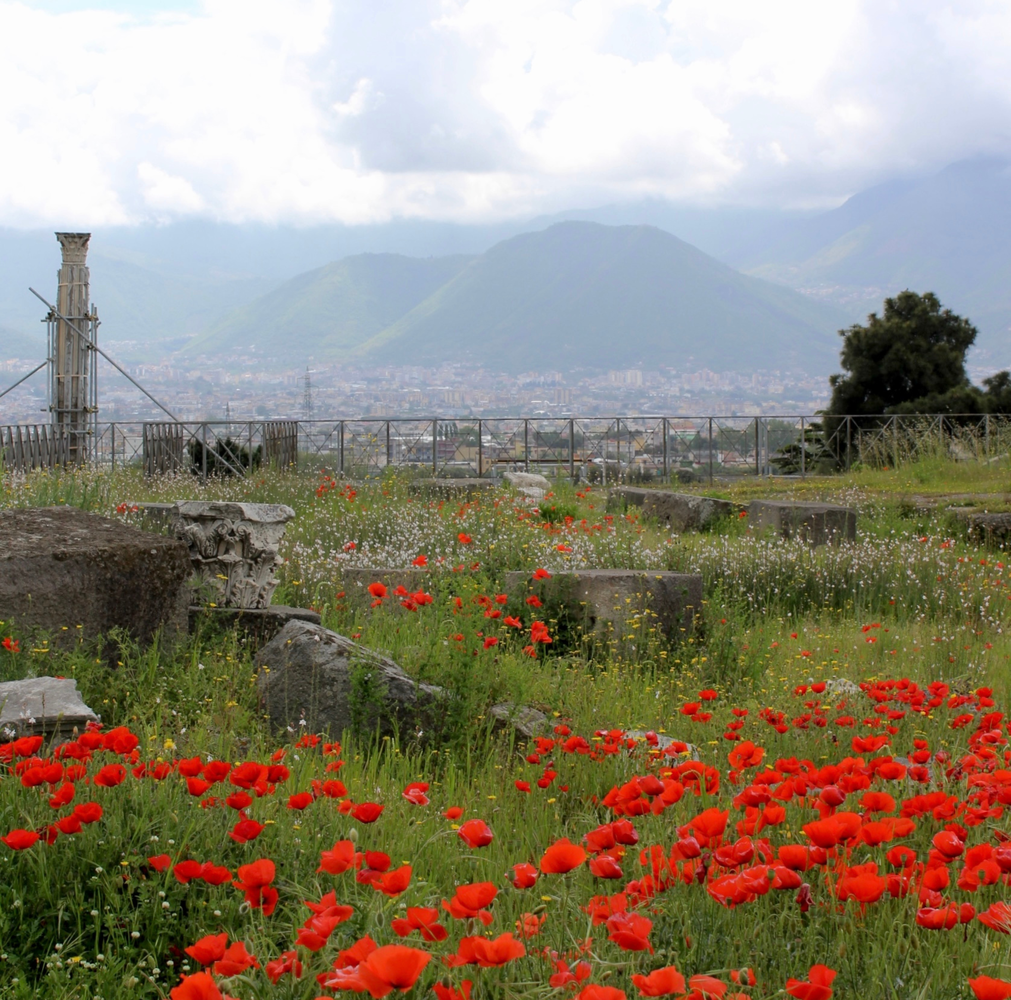 Pompeii Tour: Explore the Ruins from Naples. Driver, Guide and Ticket Included - Photo 16
