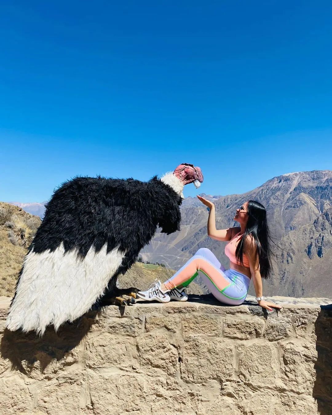 Pun-05: Descubrimiento del Cañón del Colca - Viaje de 2 días