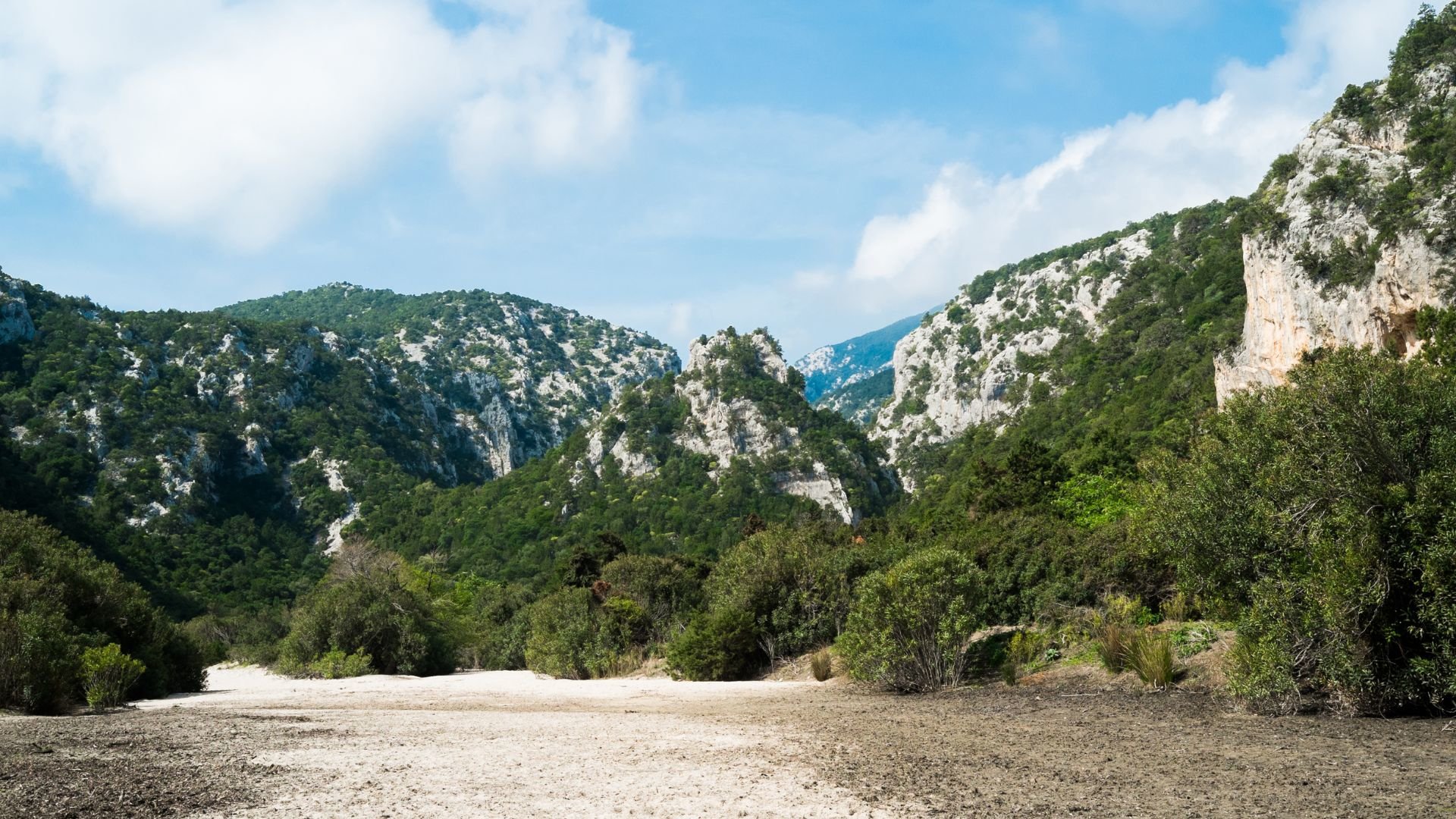 From Dorgali: trekking to Cala Luna - Photo 18