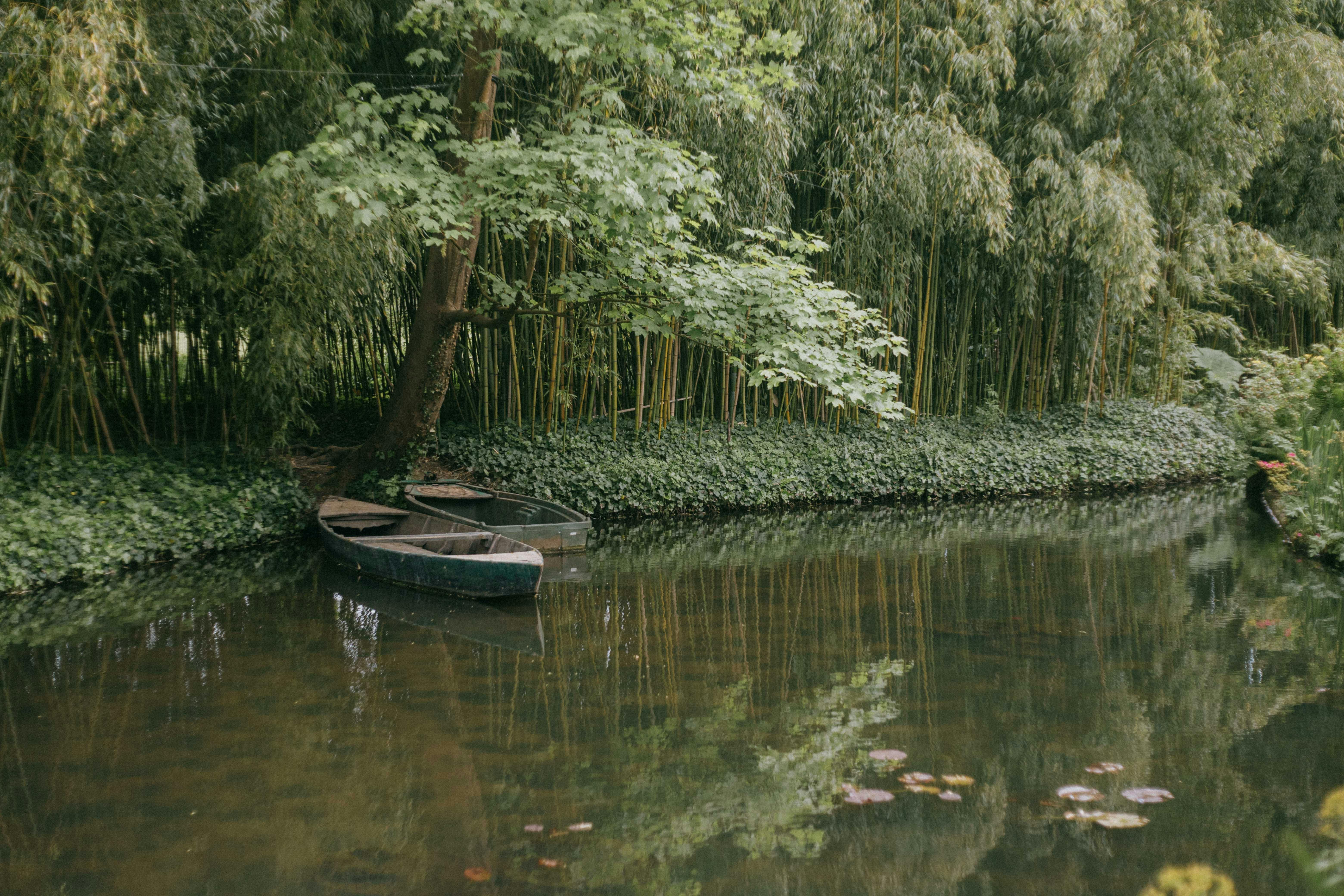 Half Day Giverny Monet's Gardens Tour – Image 3 | WeShare