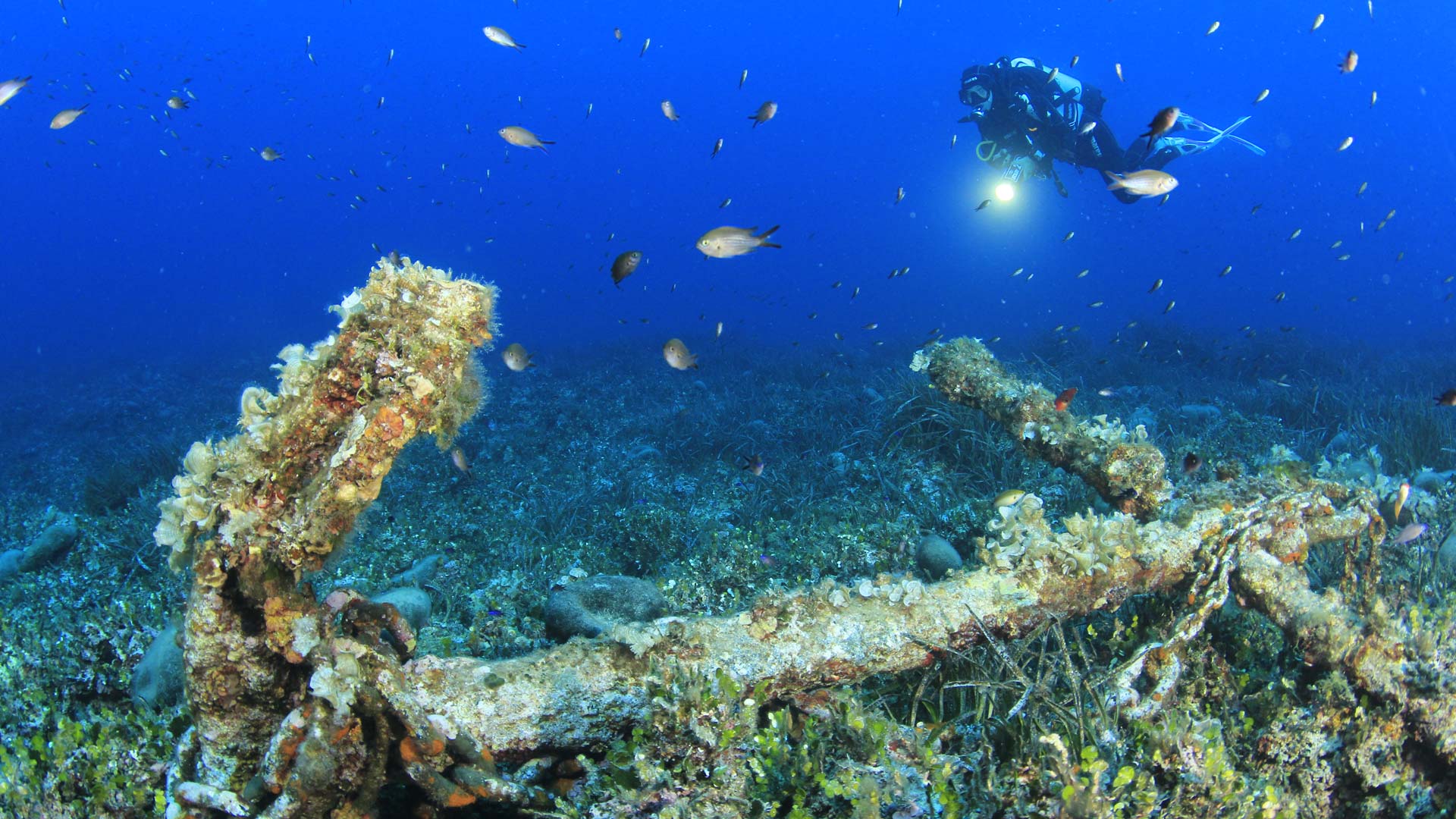 Bosa: diving baptism - Photo 27