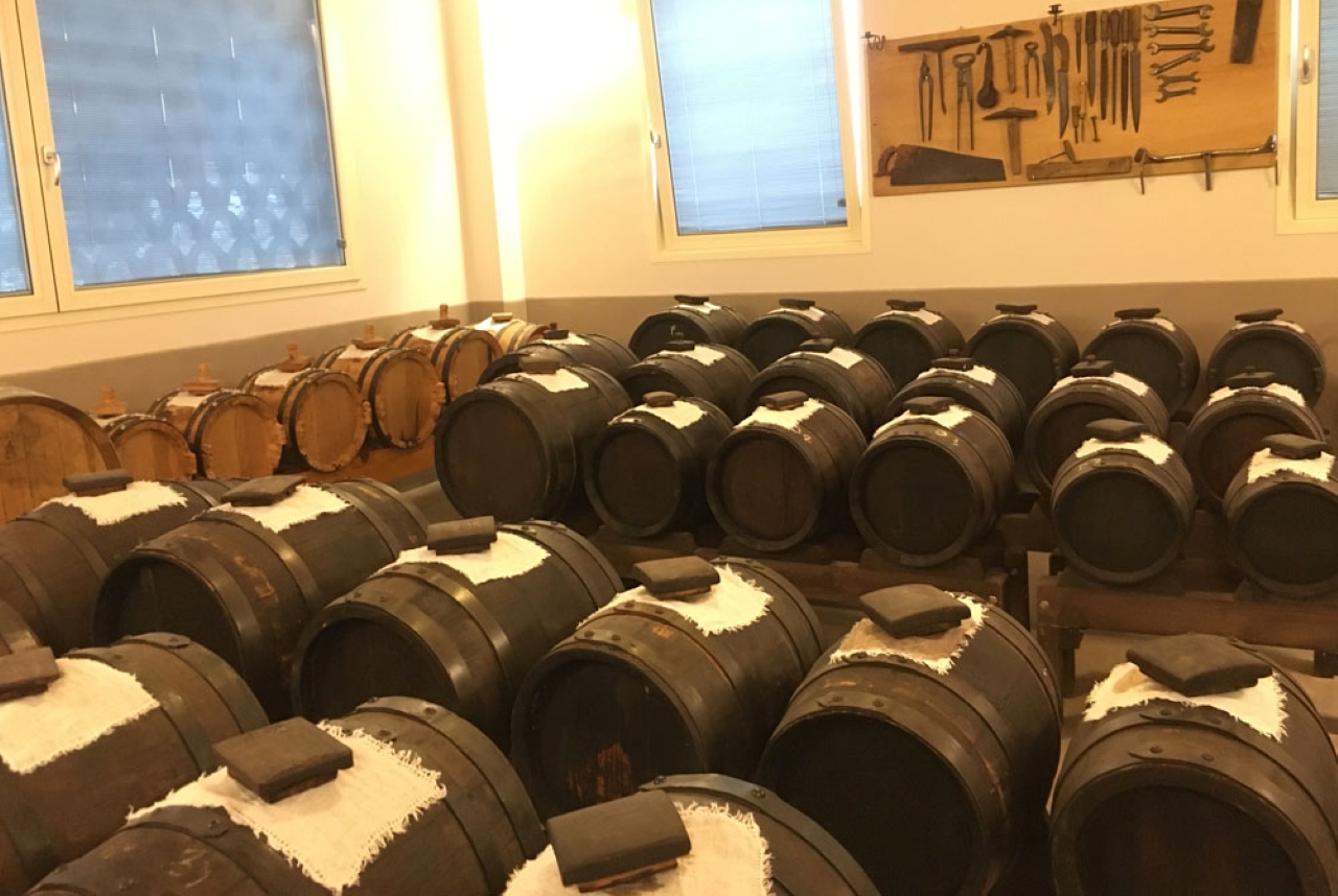 Modena: Visit vinegar cellar and tasting balsamic vinegar - Photo 15