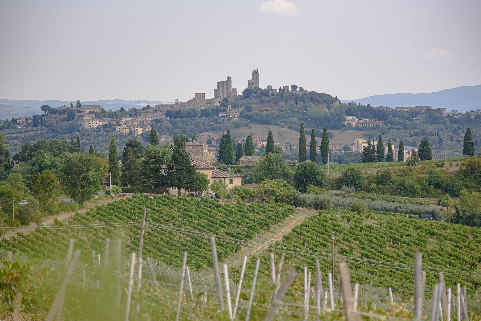 Small-Group Winery Tour with Tasting and Dinner in Chianti - Photo 134