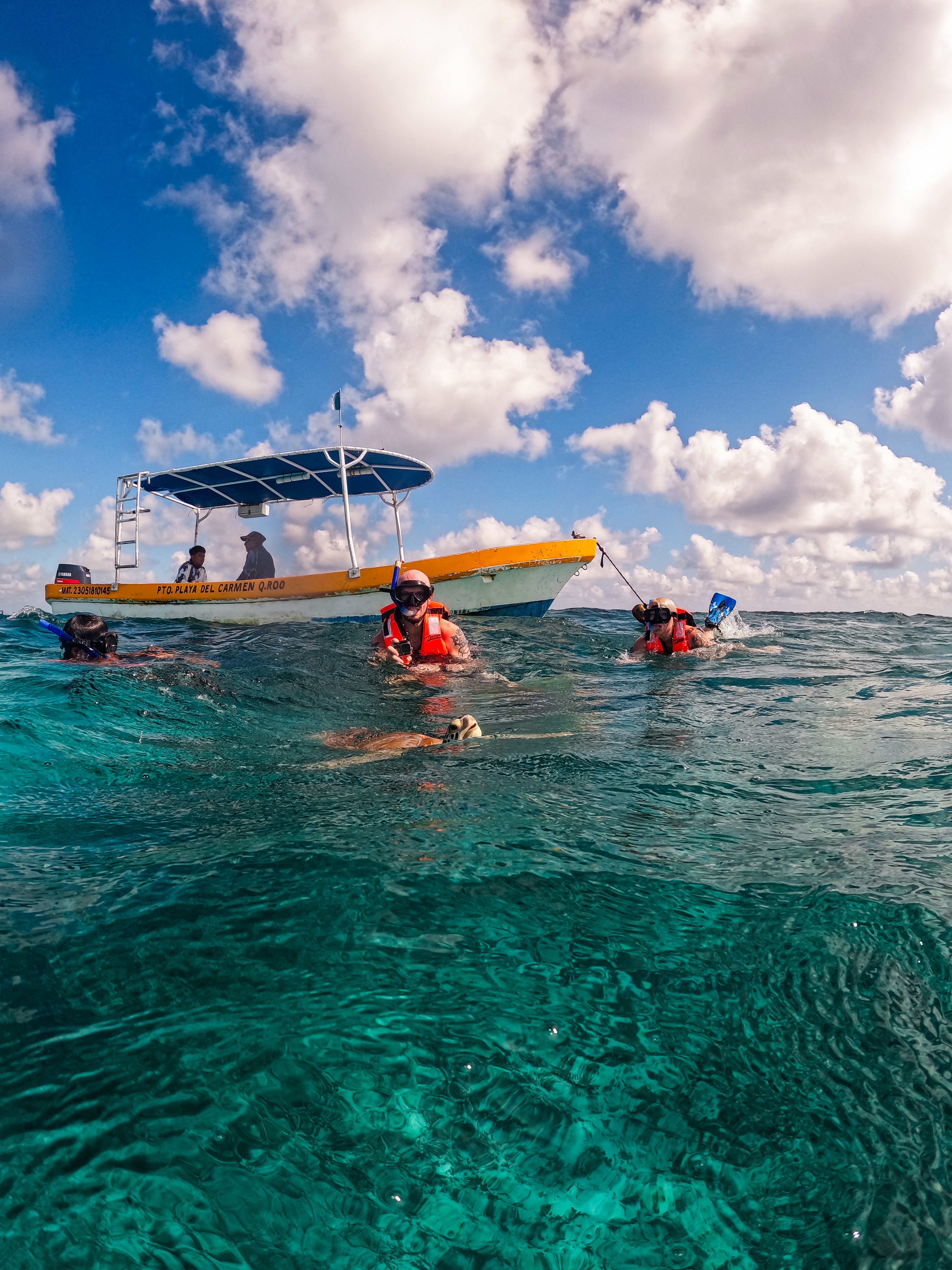 1.5 hours Snorkeling at Tulum's paradise reef — 68/92