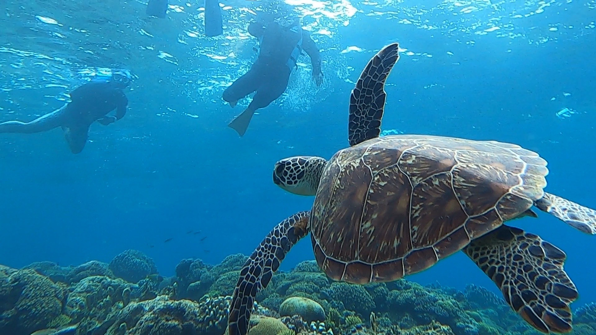 JTB�@���̉߂������i����j�̃C���[�W